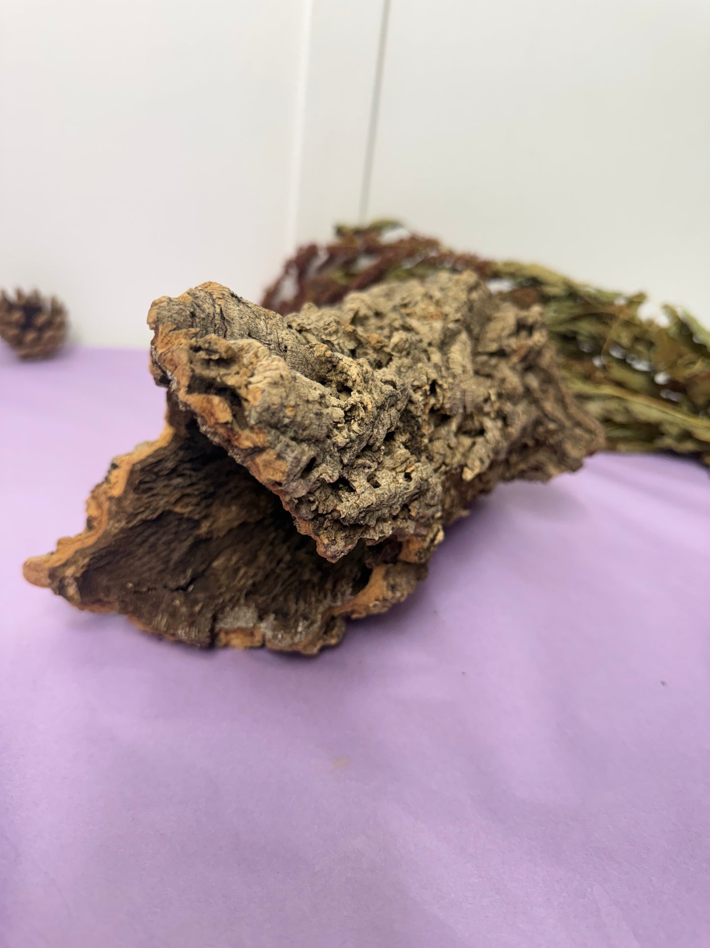 Large Unique Cork Log Tunnels, Hamster Hideout, Reptile Decor, Natural Pet Tube Toy