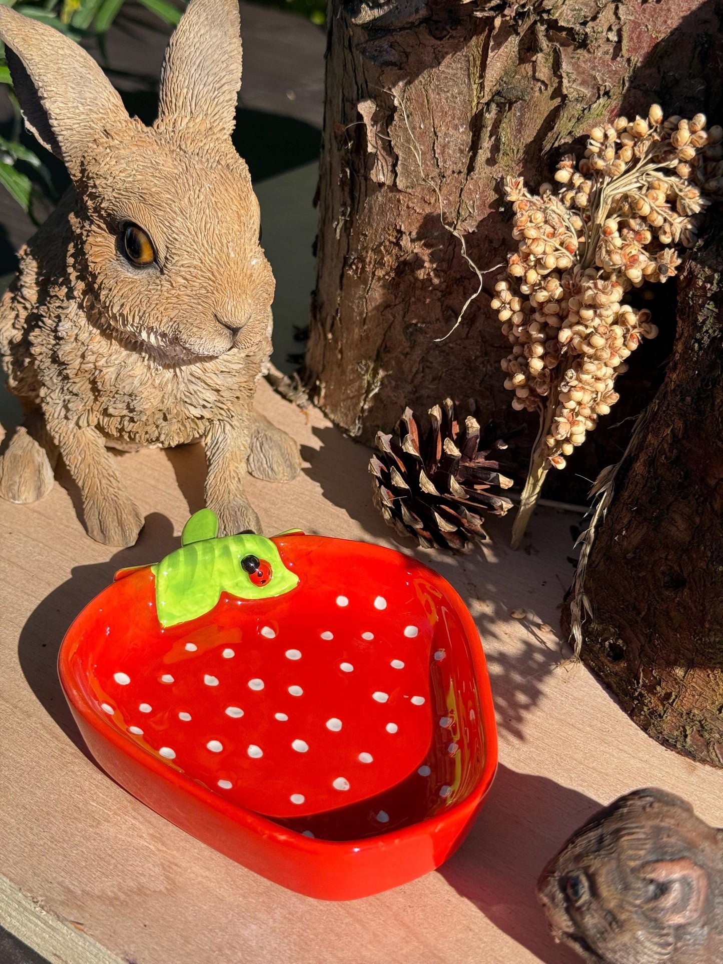 Strawberry Hamster Bowl Spotted Food Dish