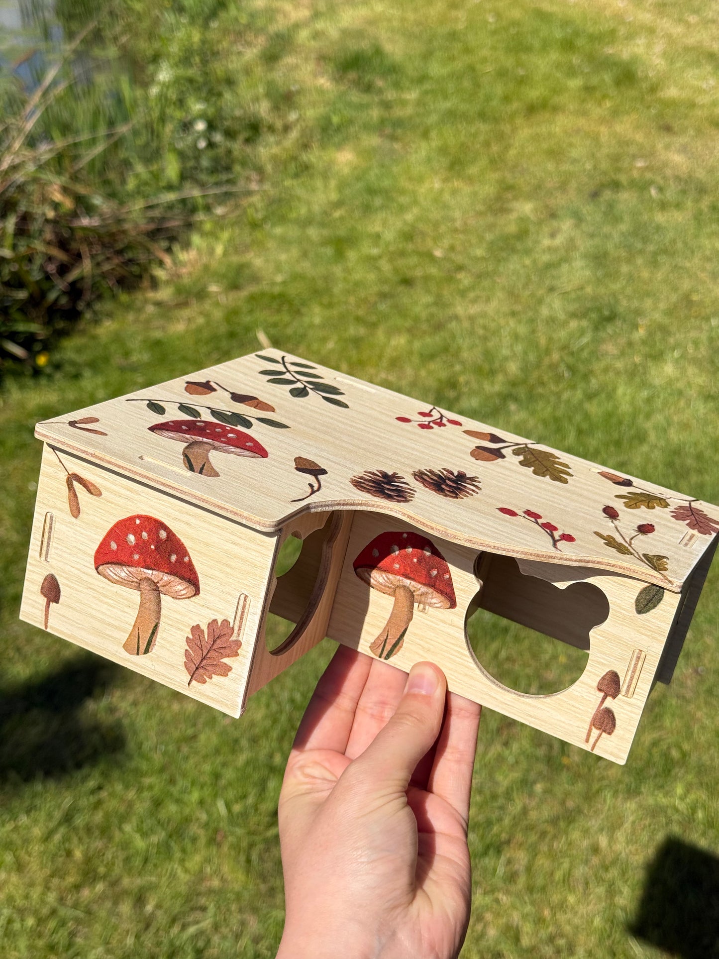Mushroom hide for Katie