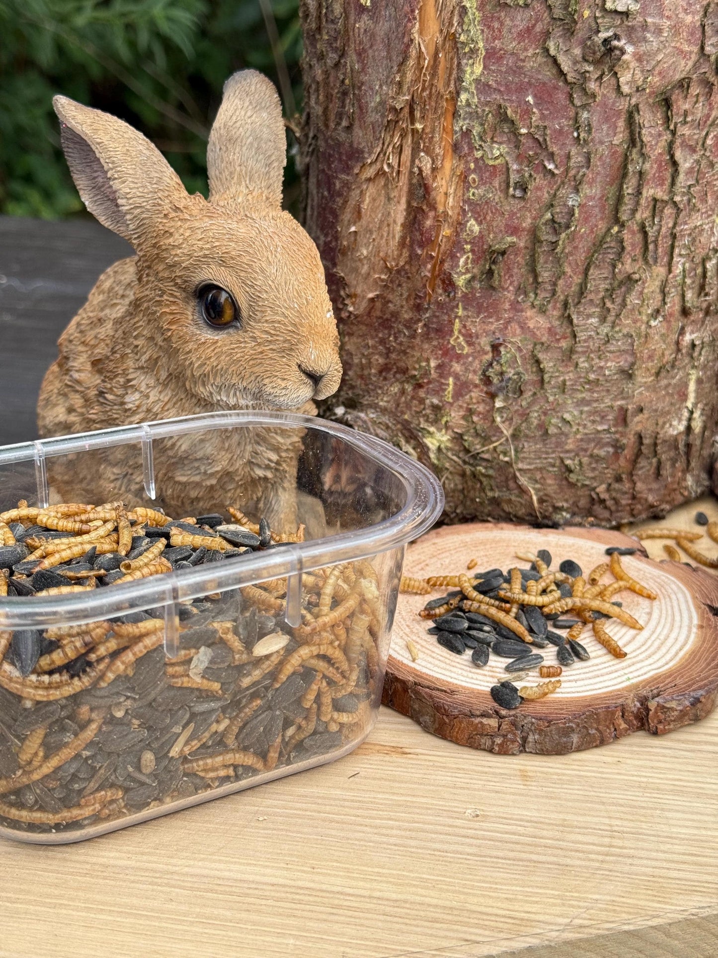 Dried Mealworm & Sunflower Seed Mix for Hamsters, Rats, Birds