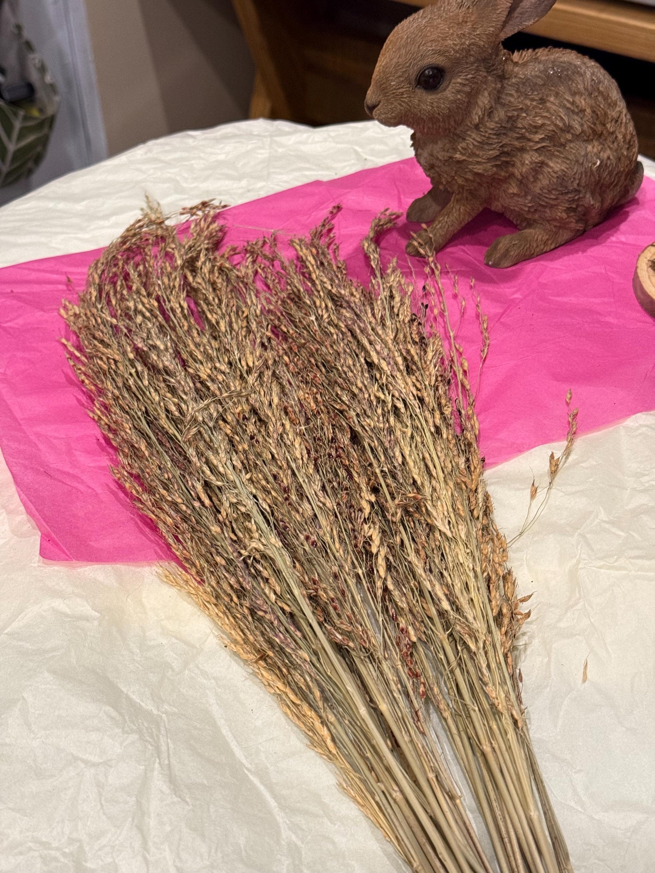 Organic Delicha Grass Sprays For Hamsters