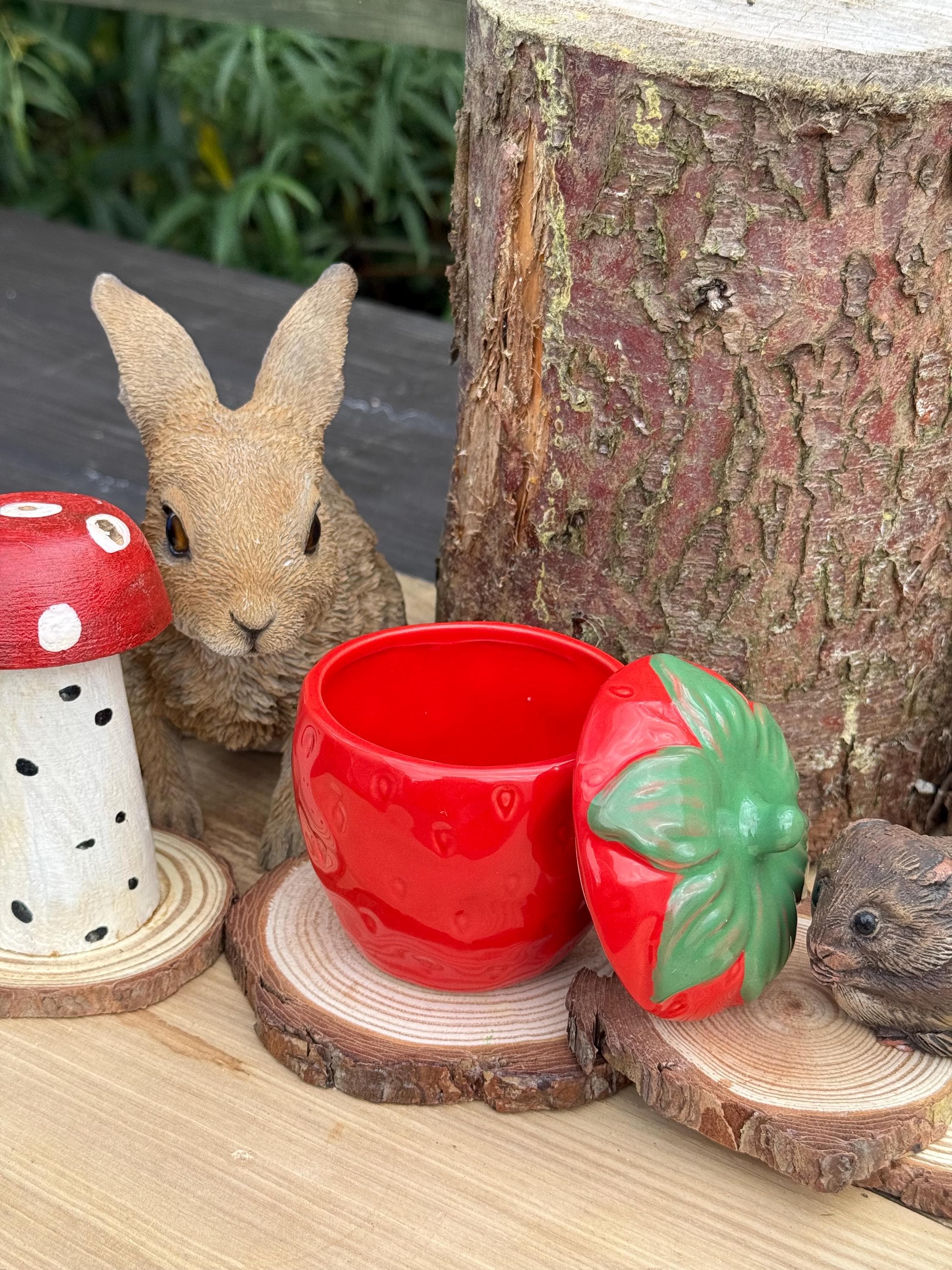 Strawberry Treat Jar Small Pet & Home Decor