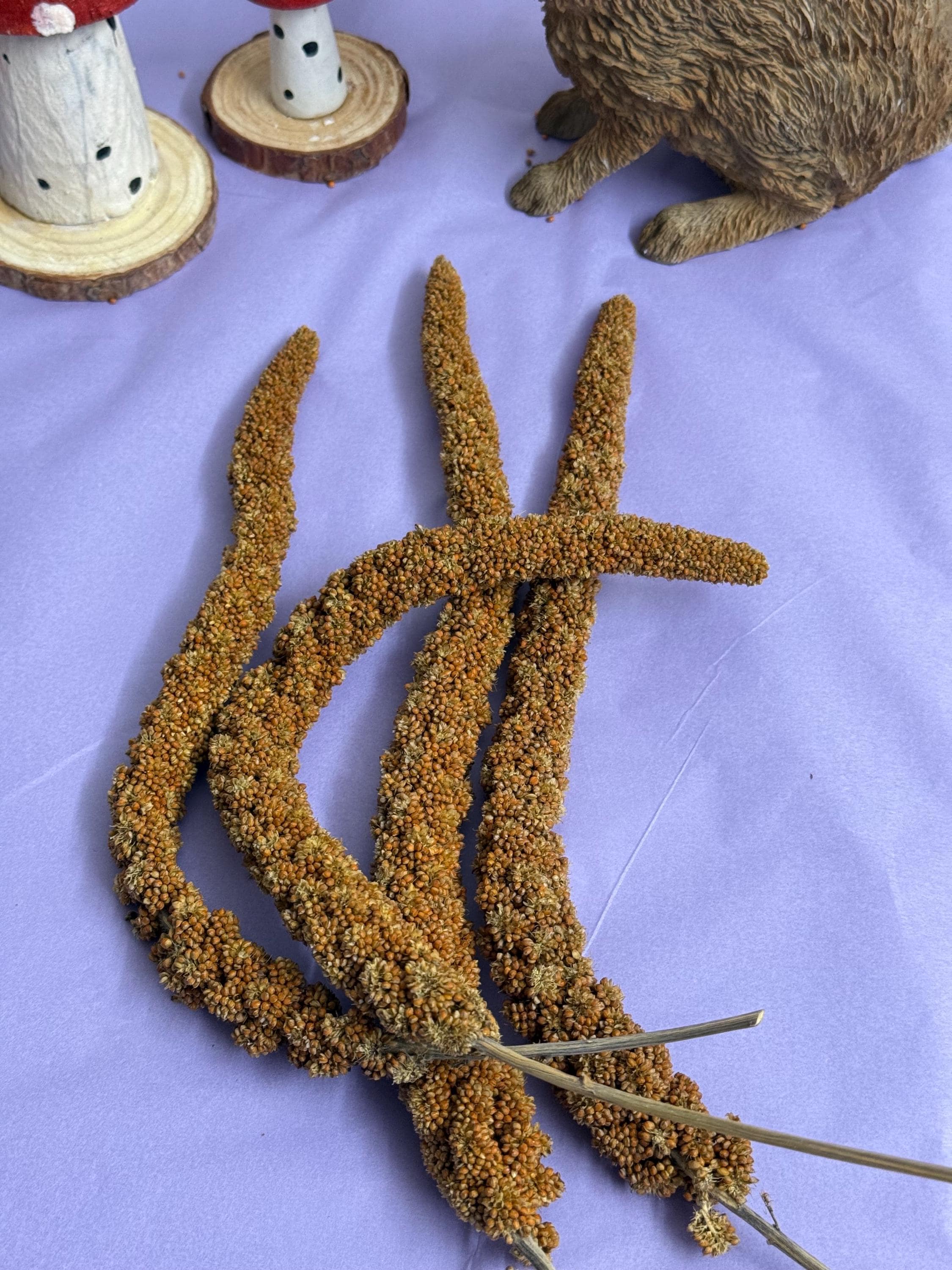 Red French Millet Sprays Forage For Hamsters, Birds, Gerbils