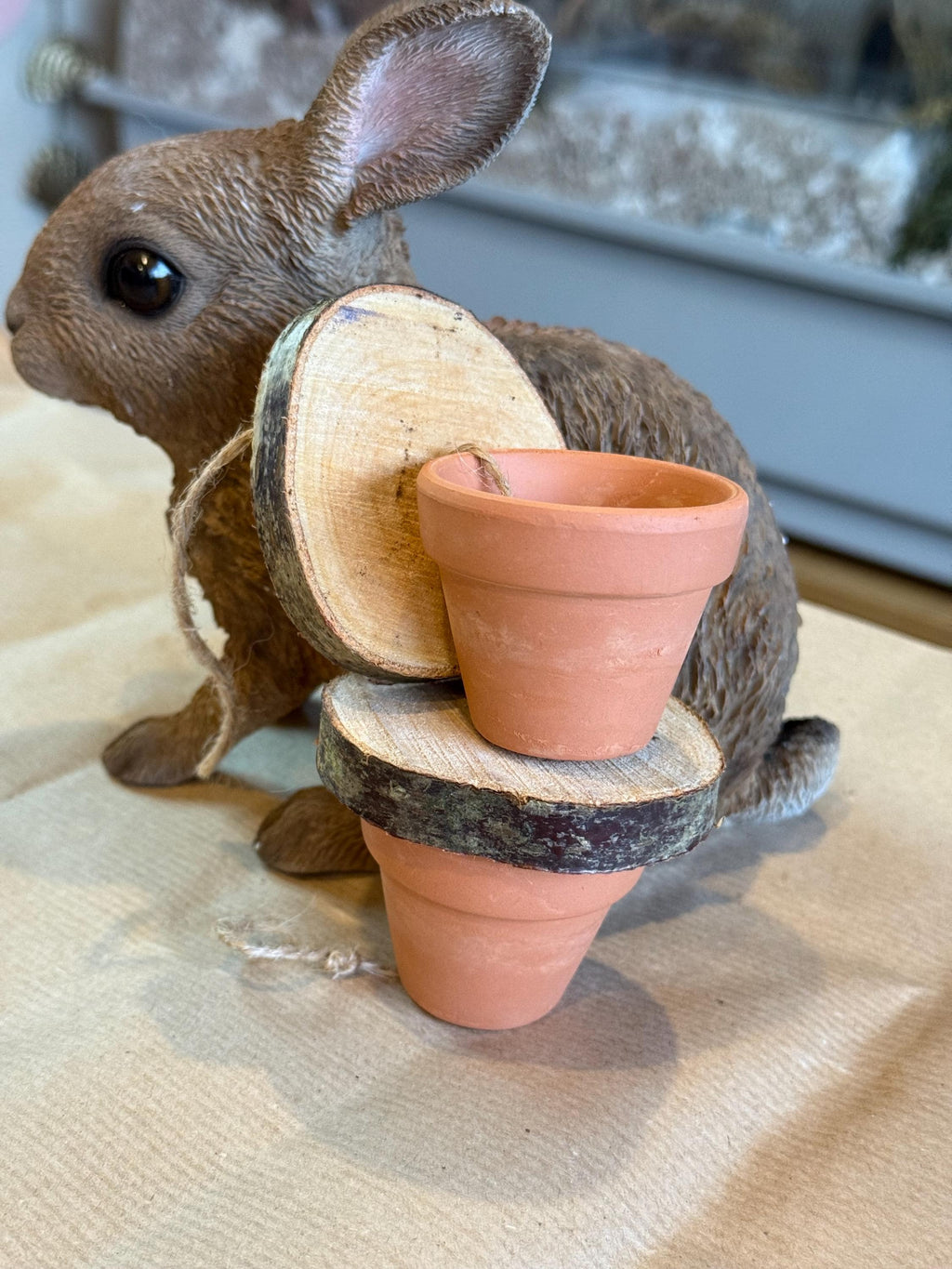 Hanging Foraging Pots & Wood Slices, Veg Hiding Toy For Rabbits, Guineapigs and Small Animals