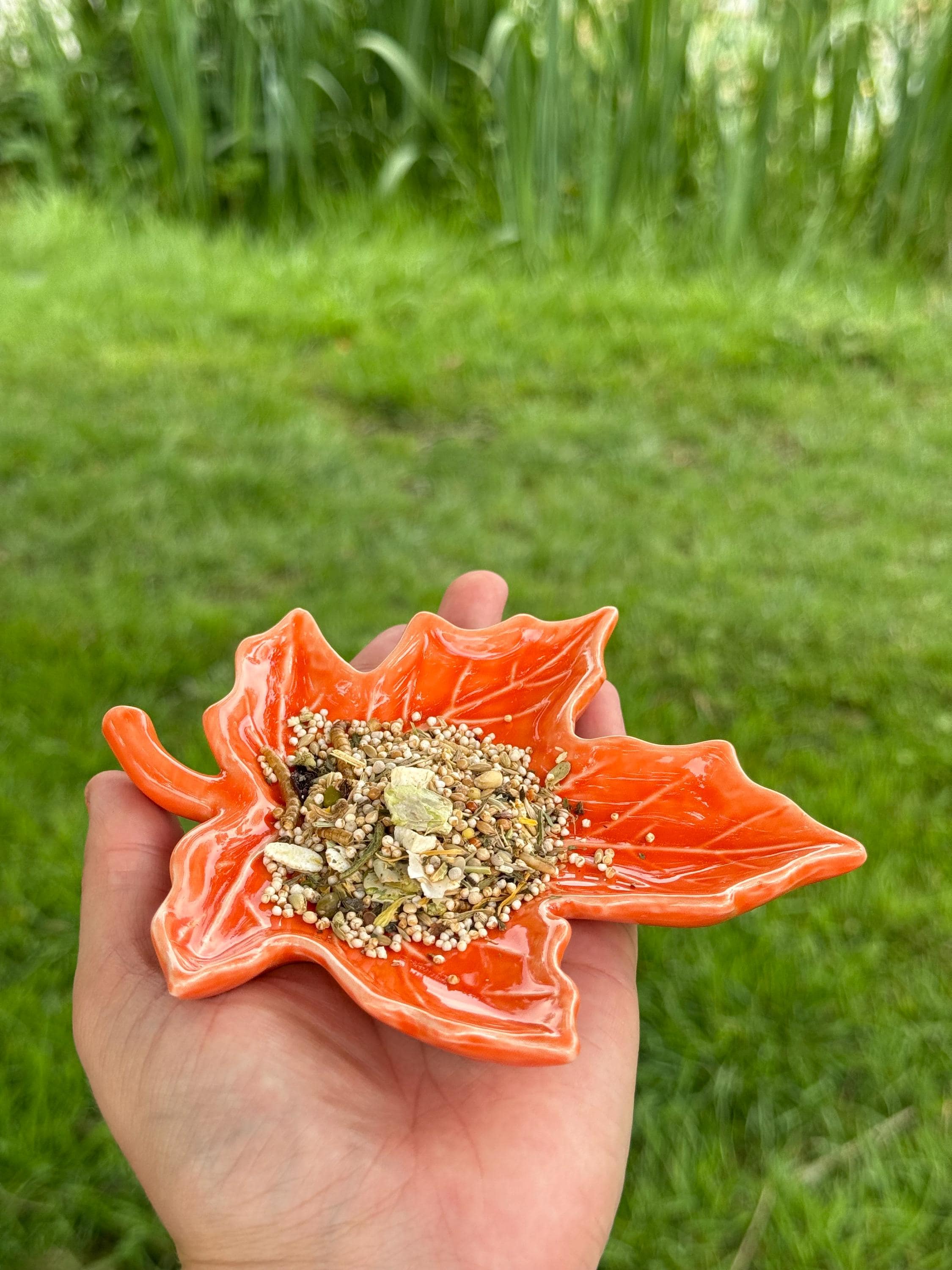 Maple Leaf Hamster Bowl: Ceramic Autumn Pet Dish