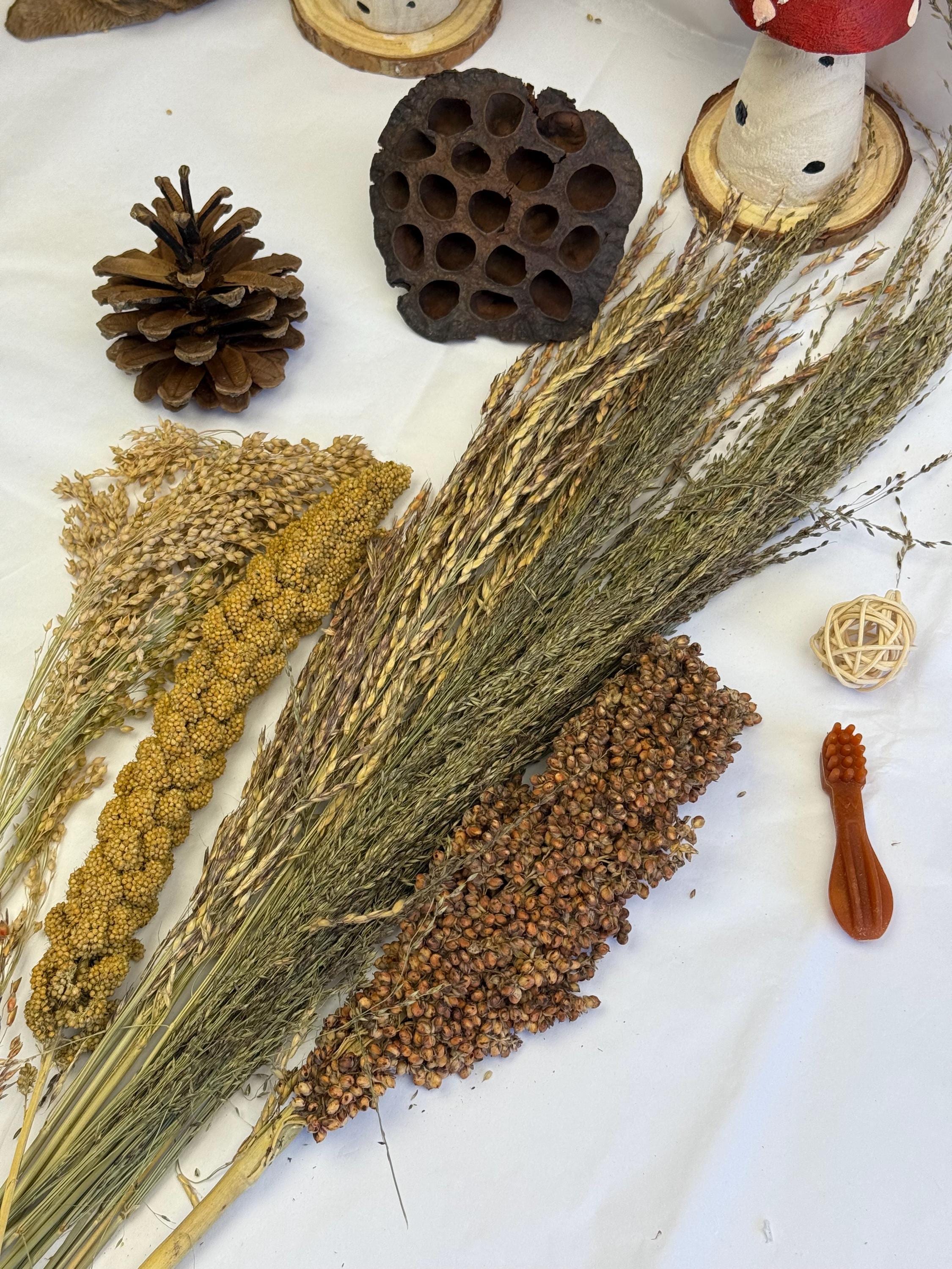 Mini Hamster Enrichment Bundle Sprays, Treats & Toys