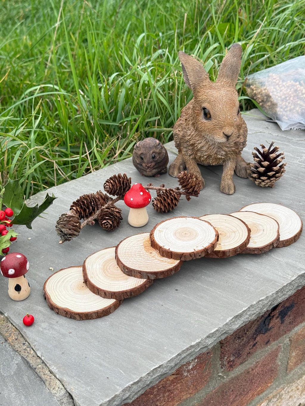 Hamster Wooden (hazel) Stepping Stone Bridge For Hamster Cages