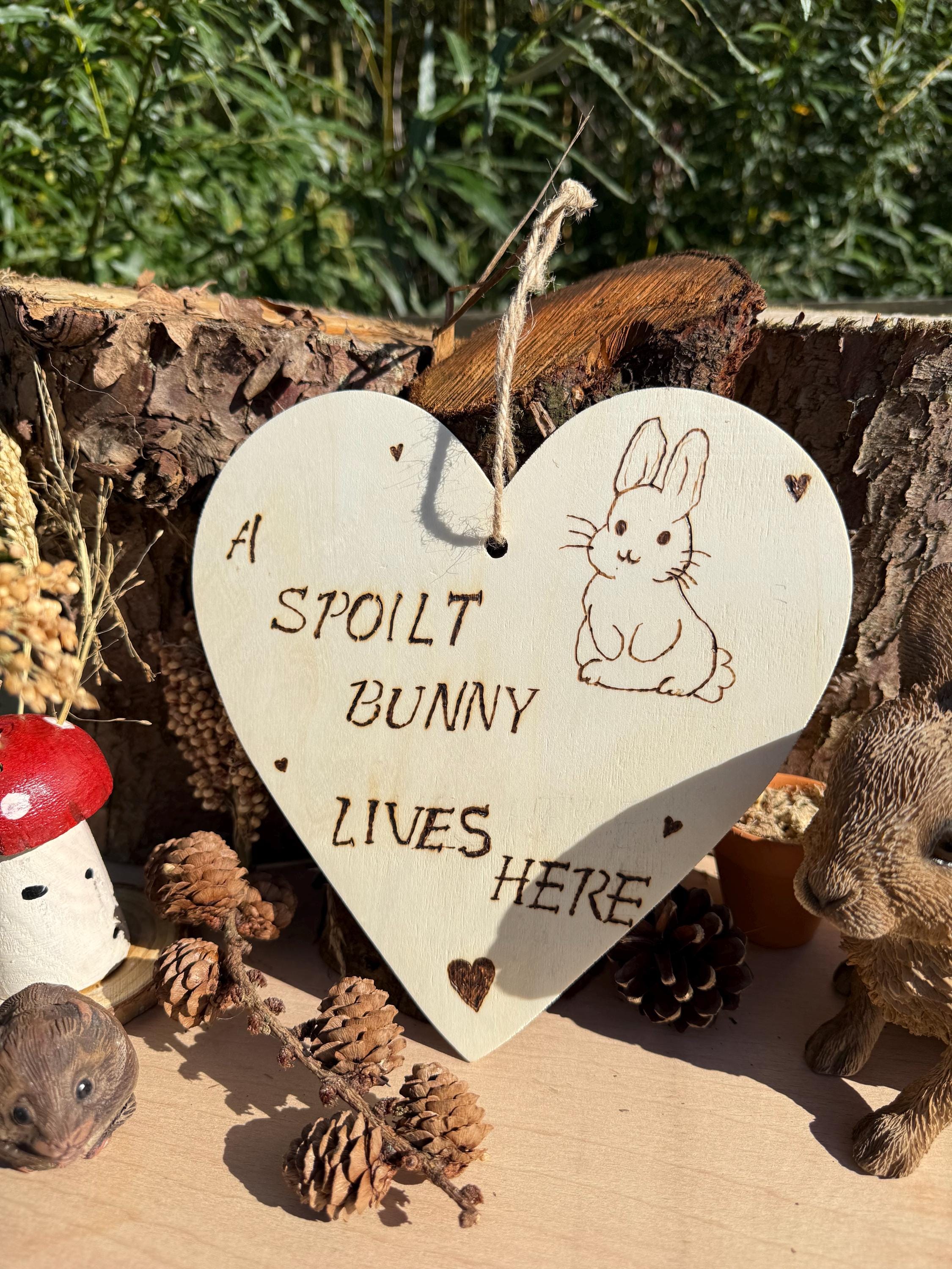 Hanging Wooden Heart Sign Bunny Rabbit Home Decor