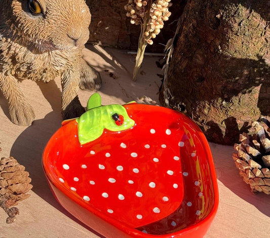 Strawberry Hamster Bowl Spotted Food Dish