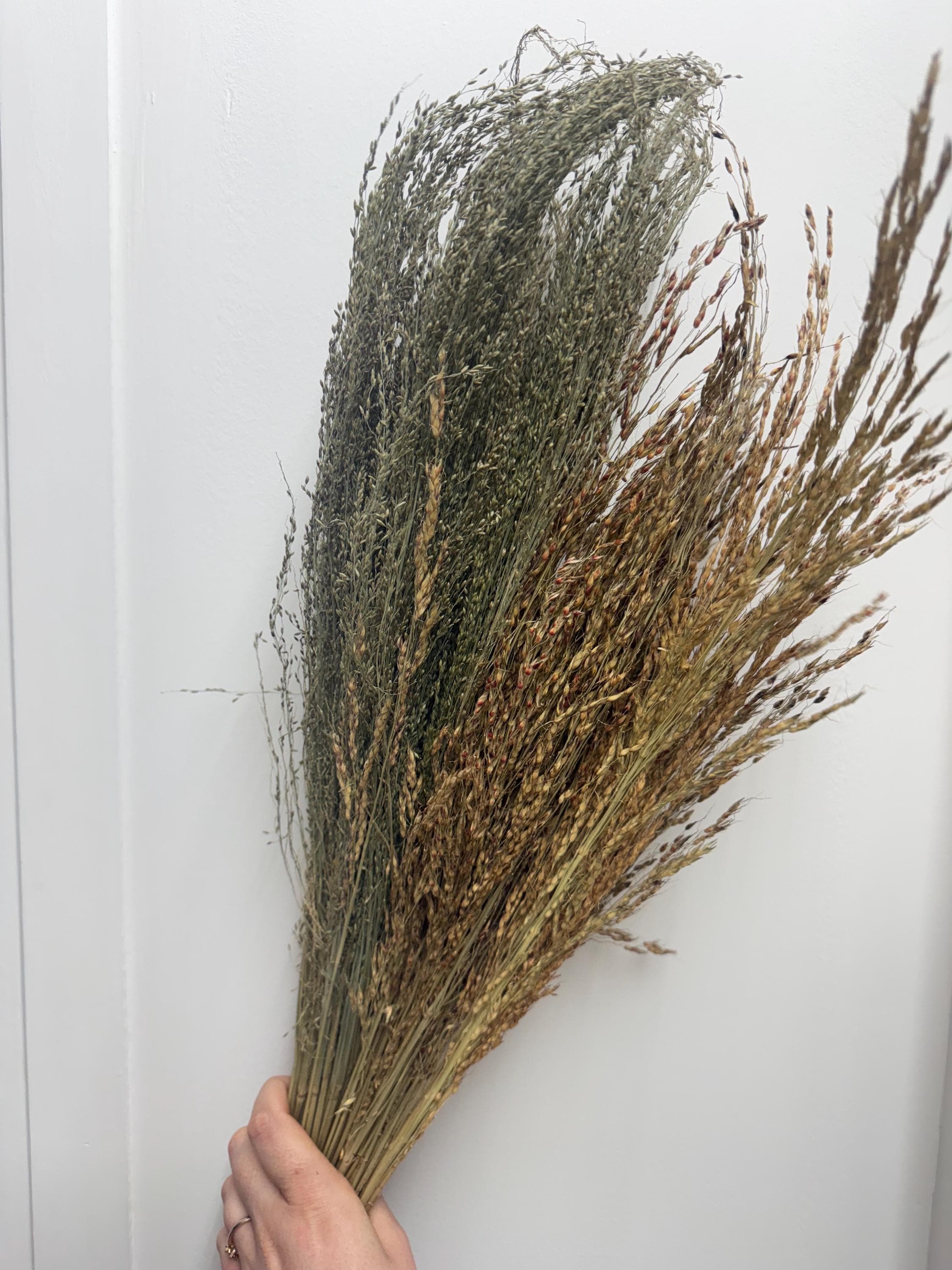 100g Delicha & Pagima Grass Sprays For Hamsters