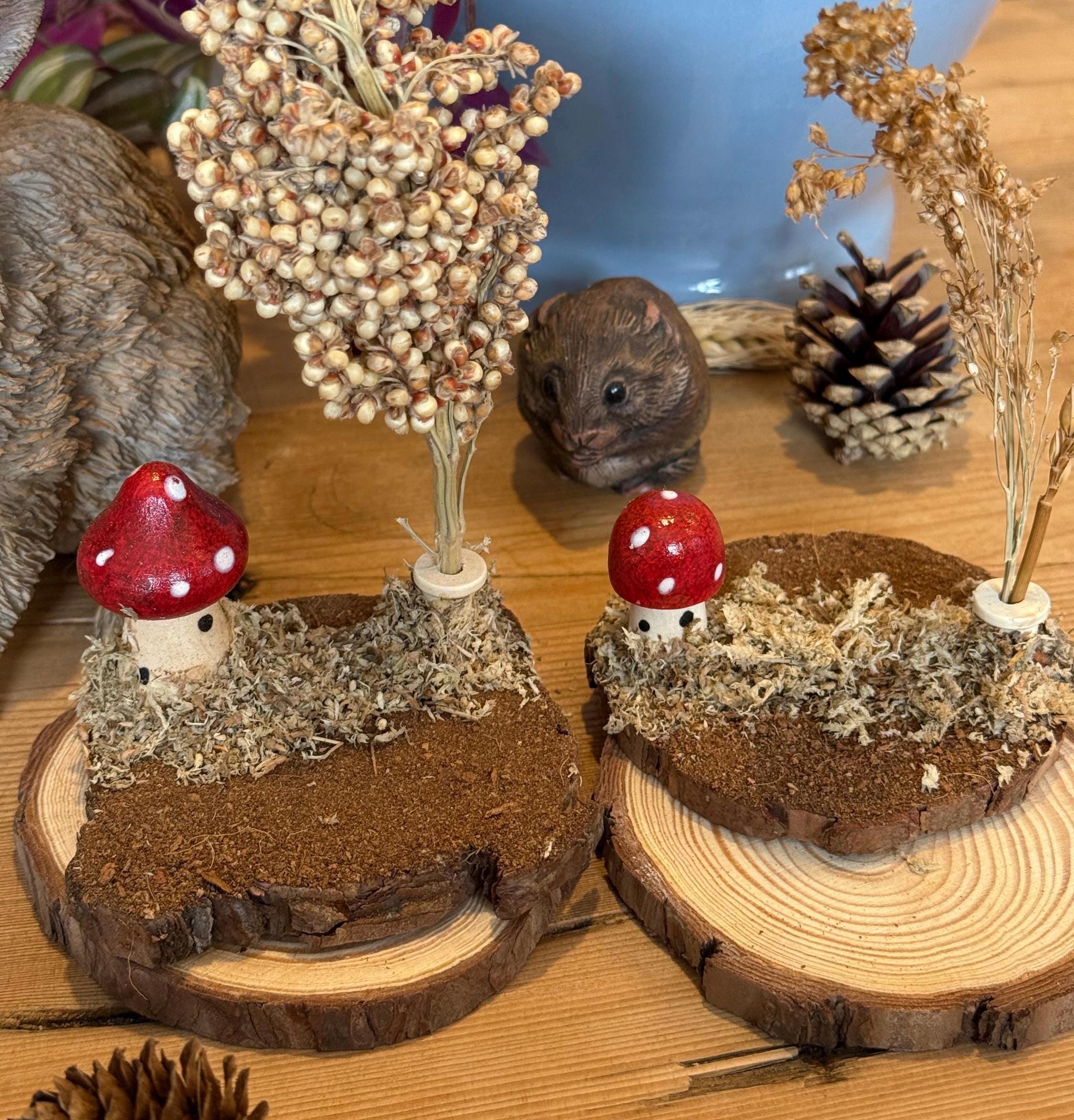 Mossy Woodland Spray Holder Hamster Mushroom Chew Toy Fairy Cage Theme