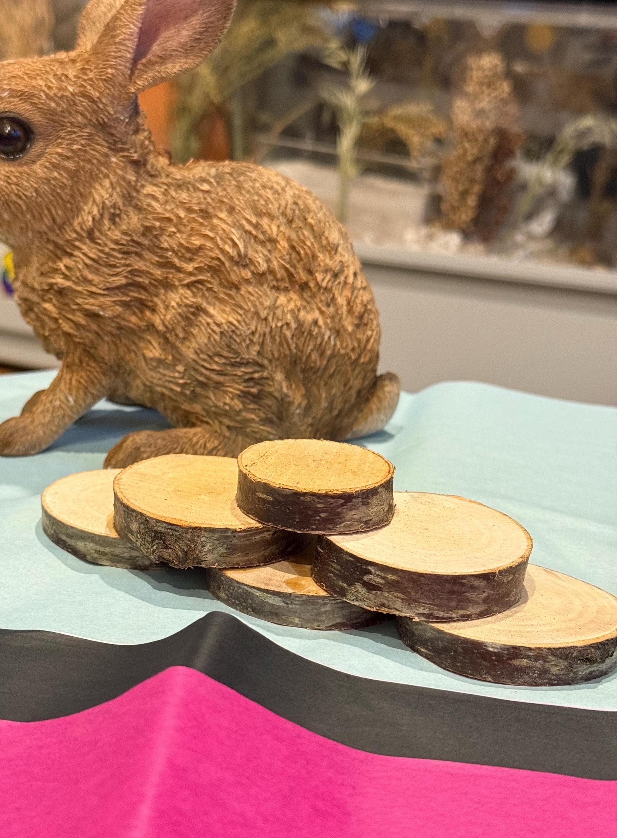 Hamster Wooden (hazel) Stepping Stone Bridge For Hamster Cages