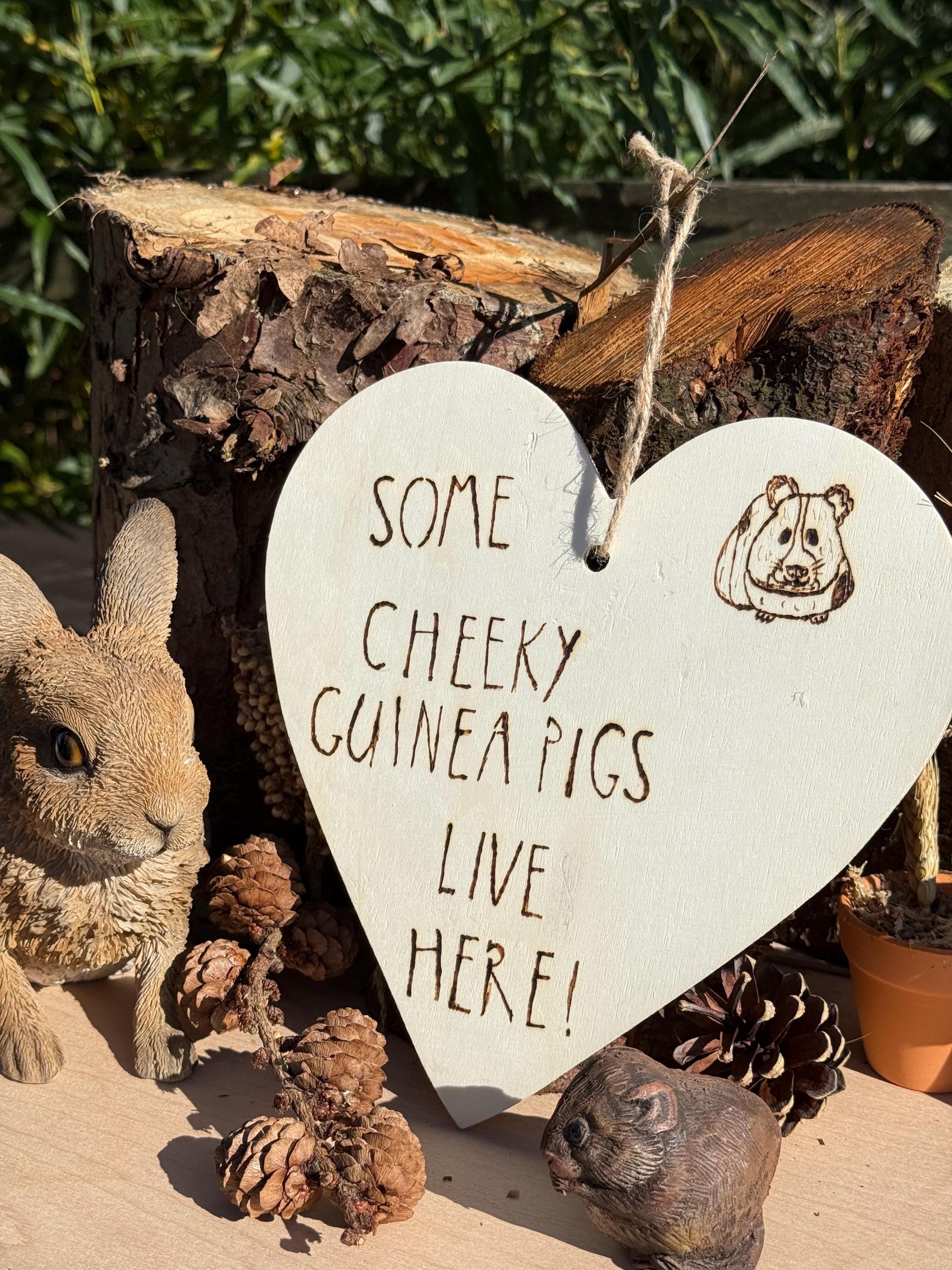 Hanging Wooden Heart Sign Guineapig Home Decor