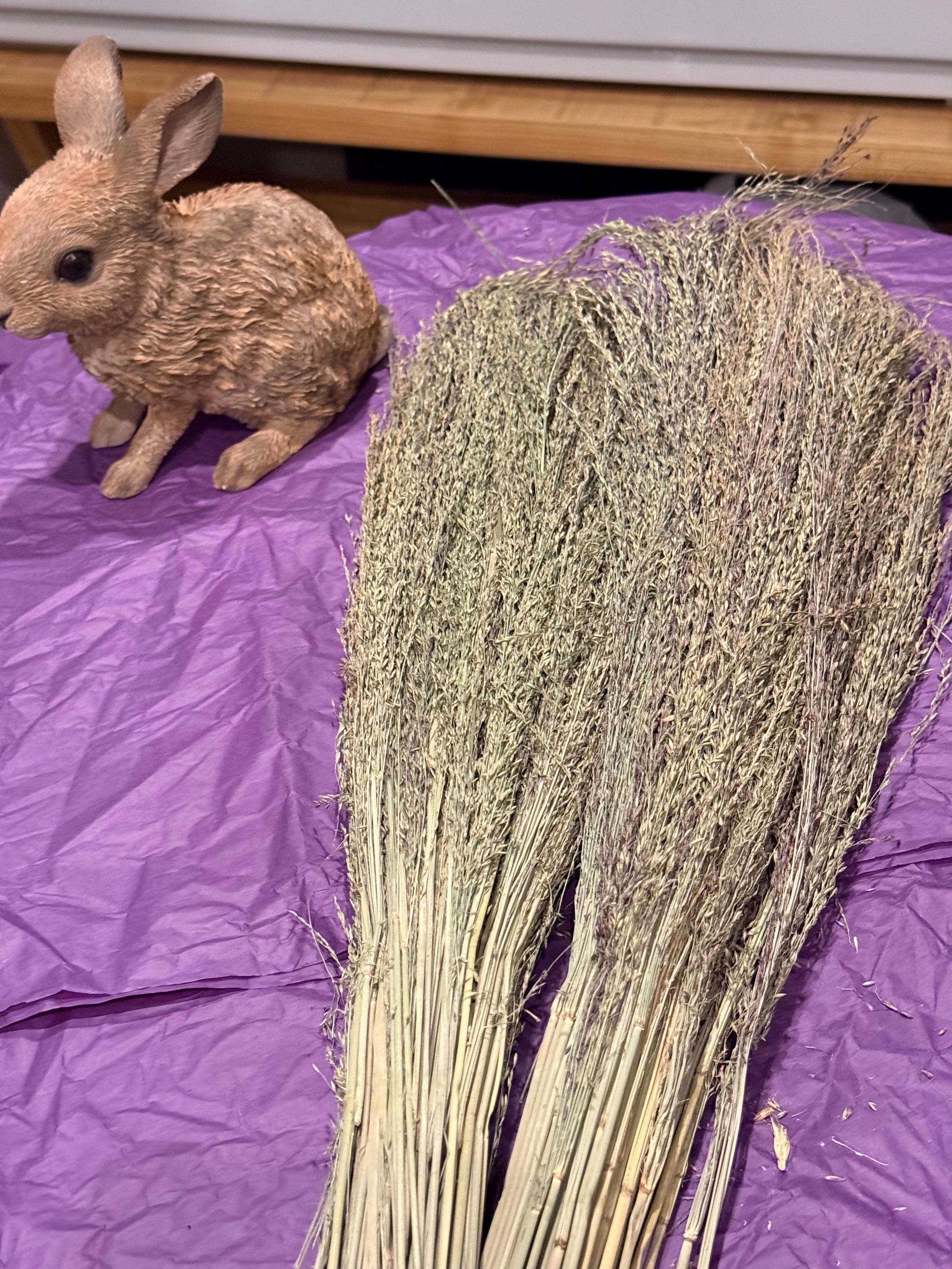 Organic Pagima Grass Sprays For Hamsters