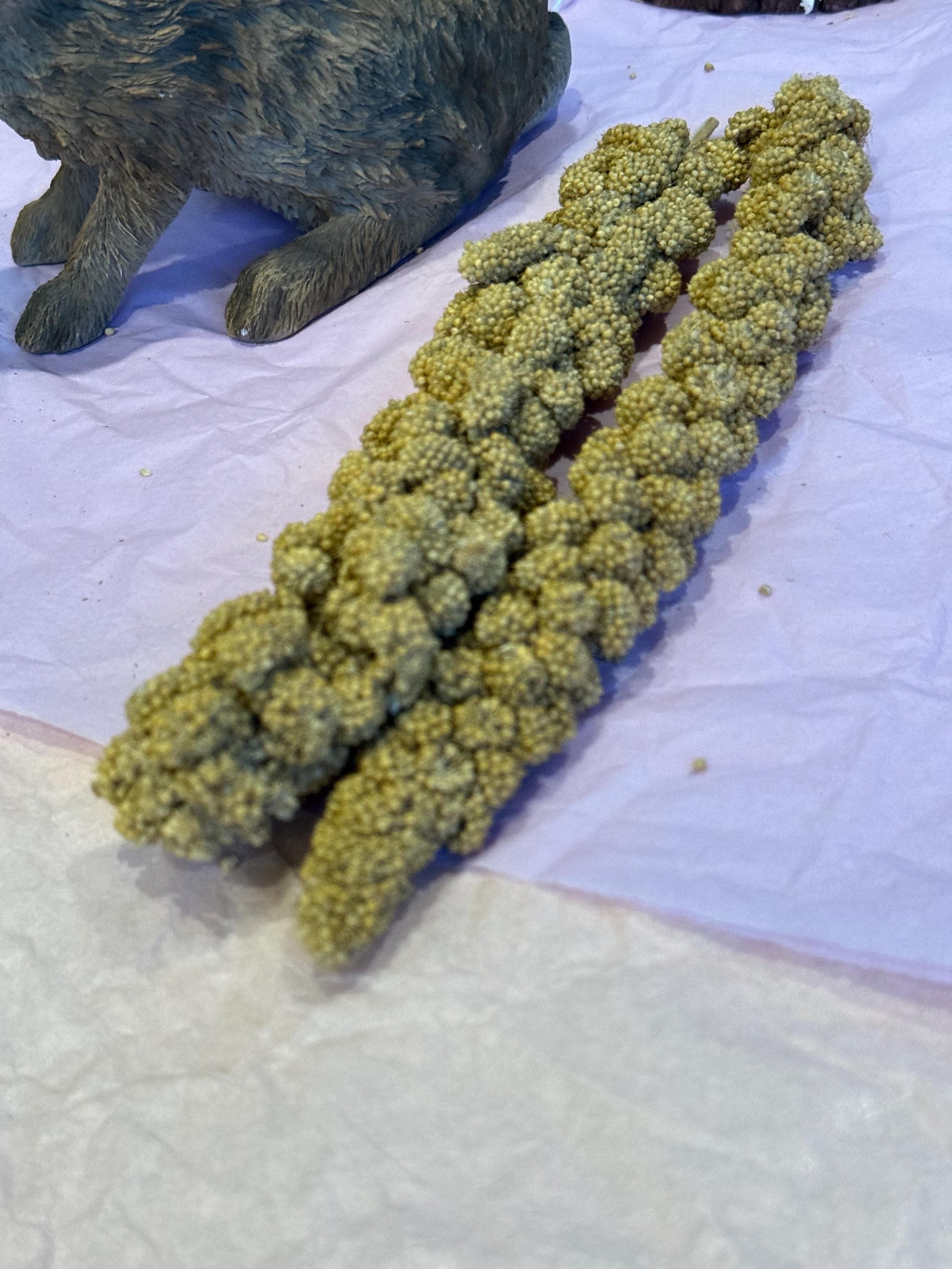 Millet Sprays Forage For Hamsters, Birds, Gerbils