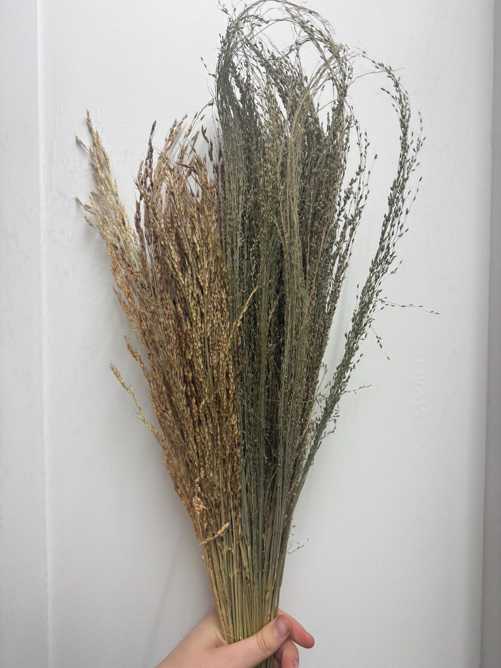 100g Delicha & Pagima Grass Sprays For Hamsters