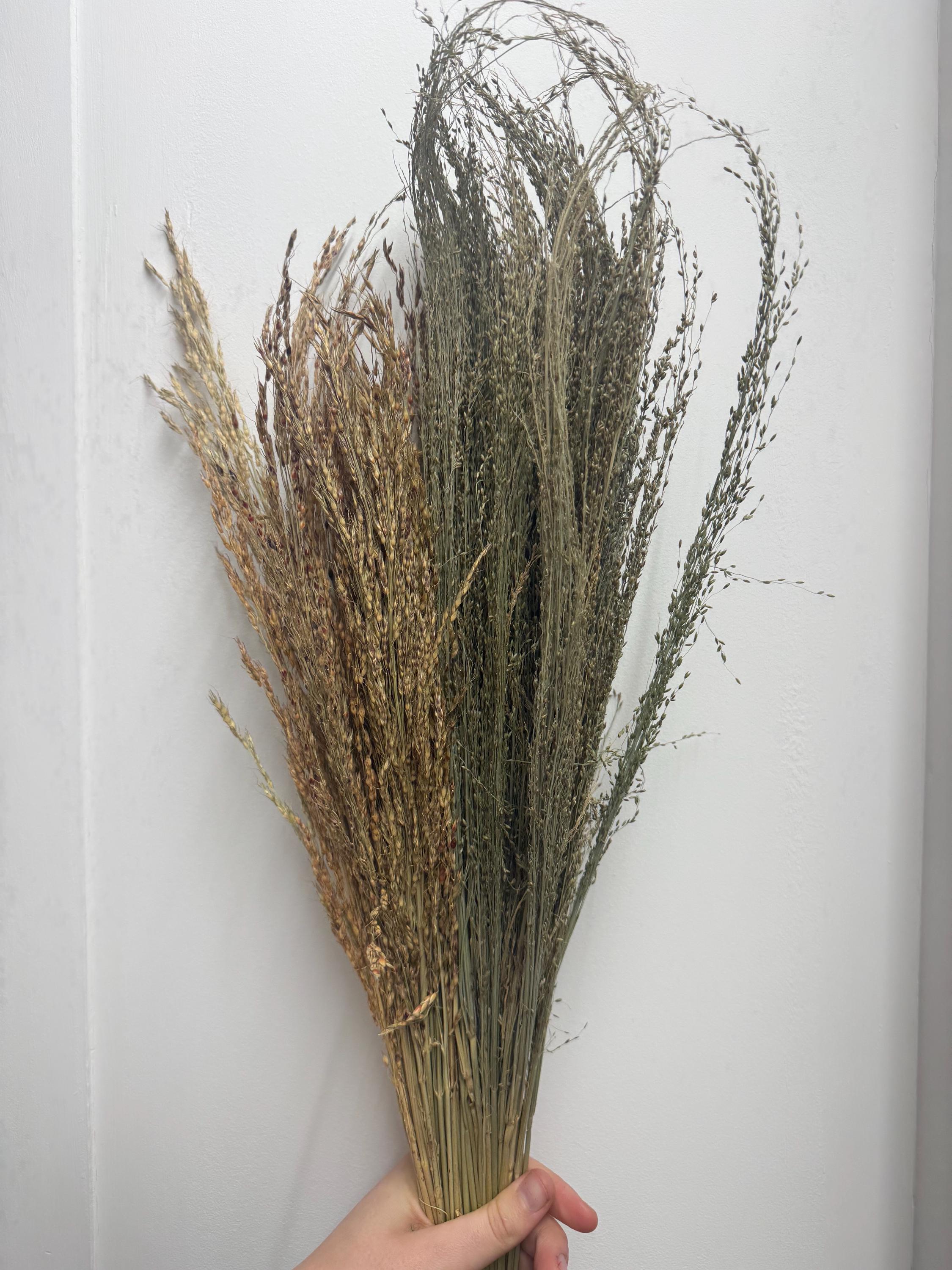 100g Delicha & Pagima Grass Sprays For Hamsters