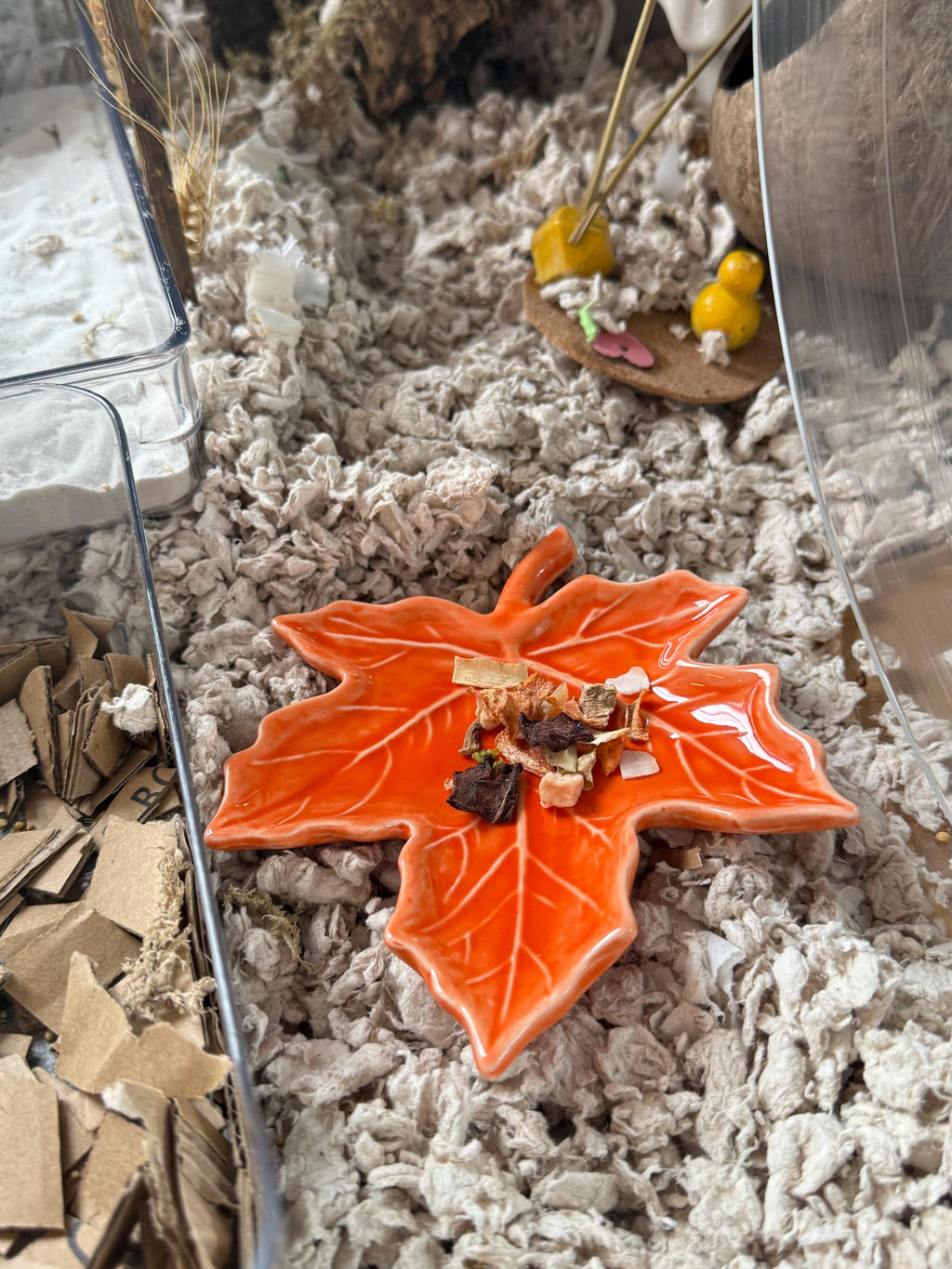 Maple Leaf Hamster Bowl: Ceramic Autumn Pet Dish