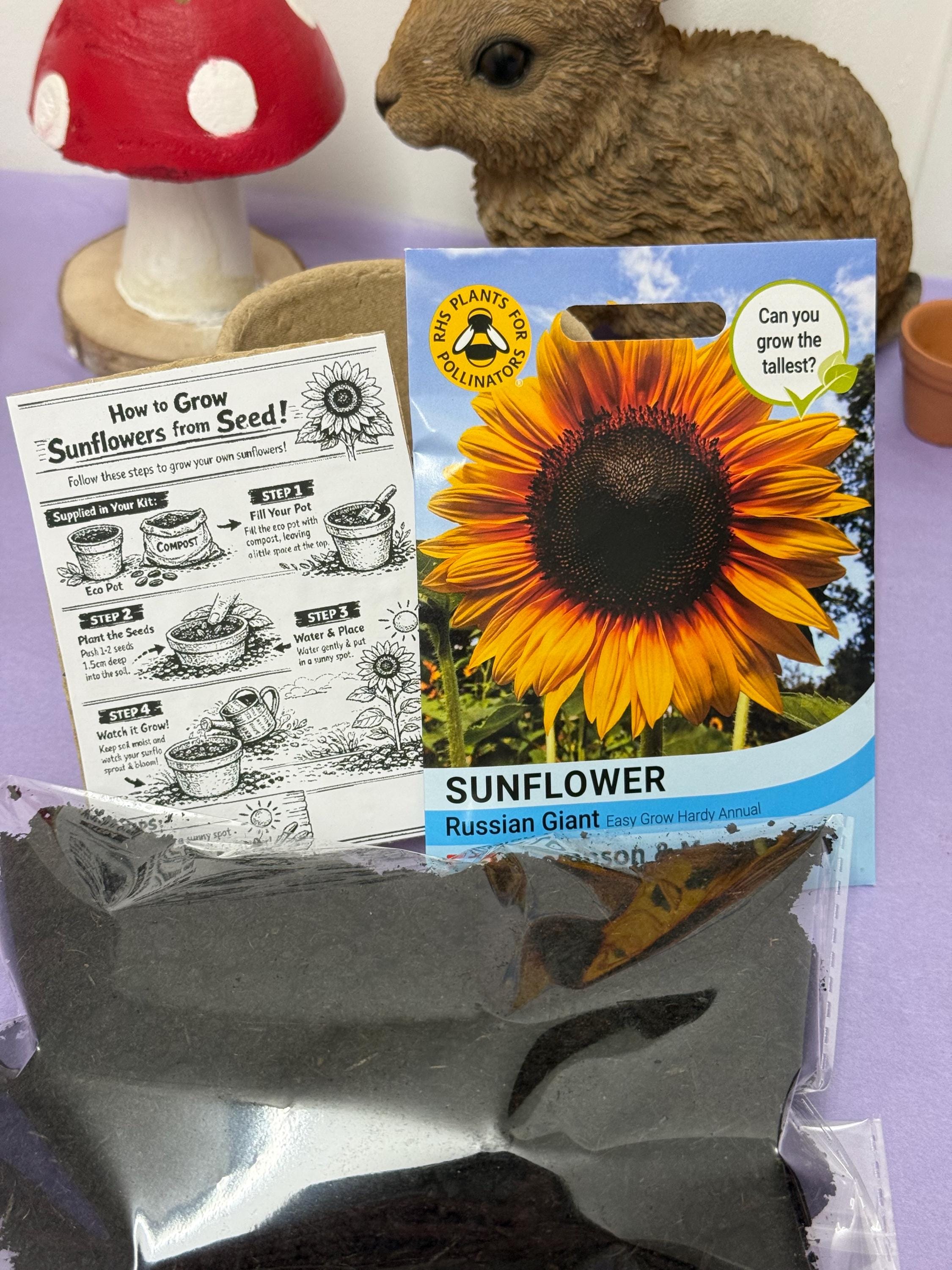 Grow Your Own Sunflower Kit! Eco Friendly Gift