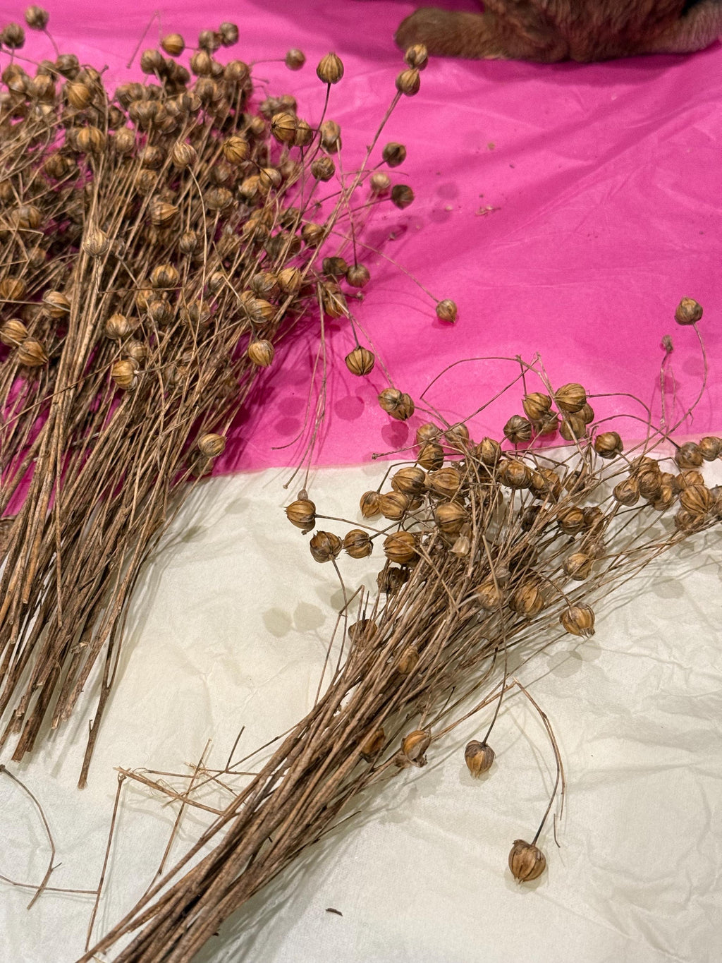 Flax Sprays Forage For Hamsters, Birds, Gerbils