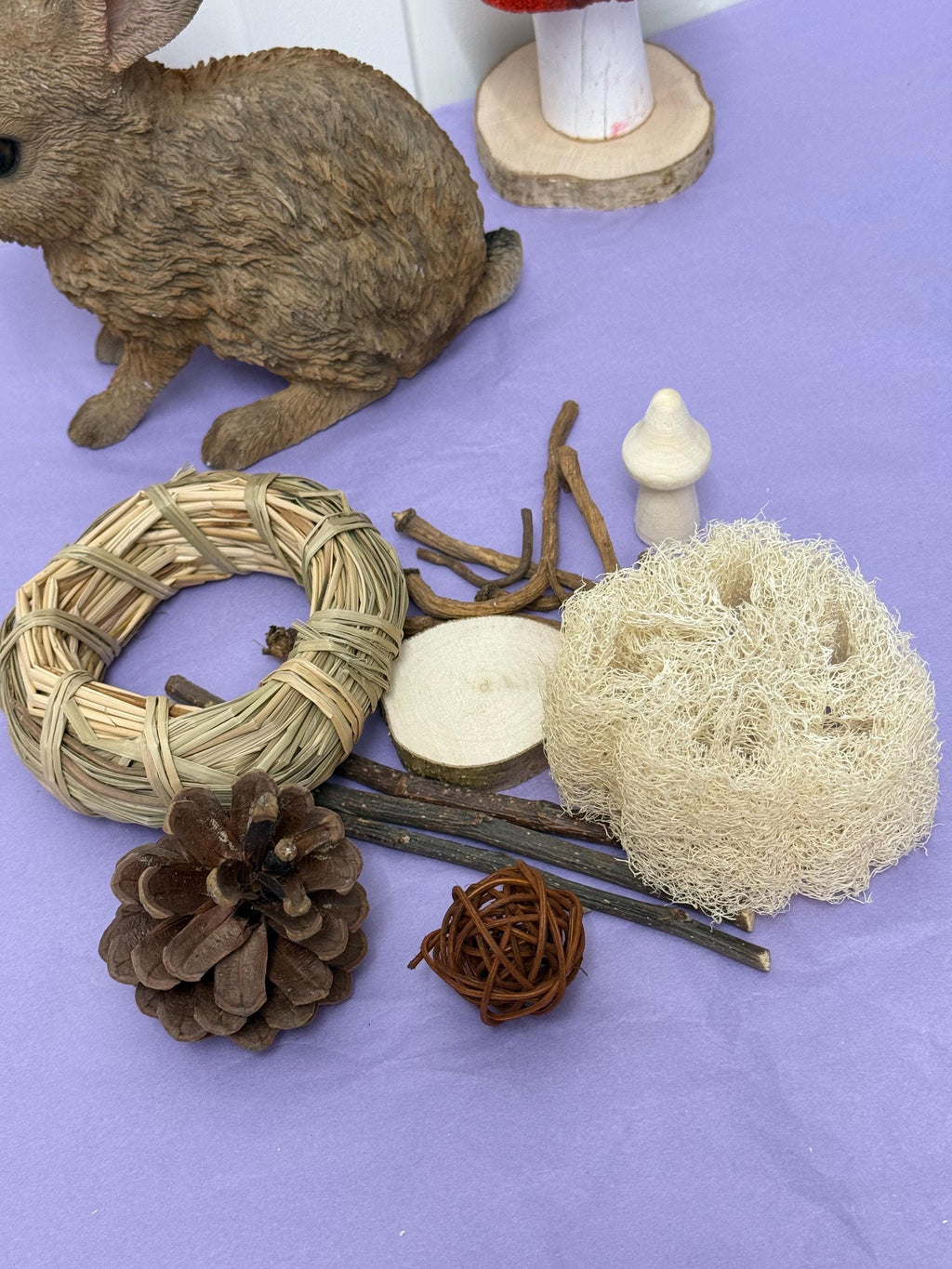 Rabbit & Guineapig Natural Chews Bundle, Chews And Treats