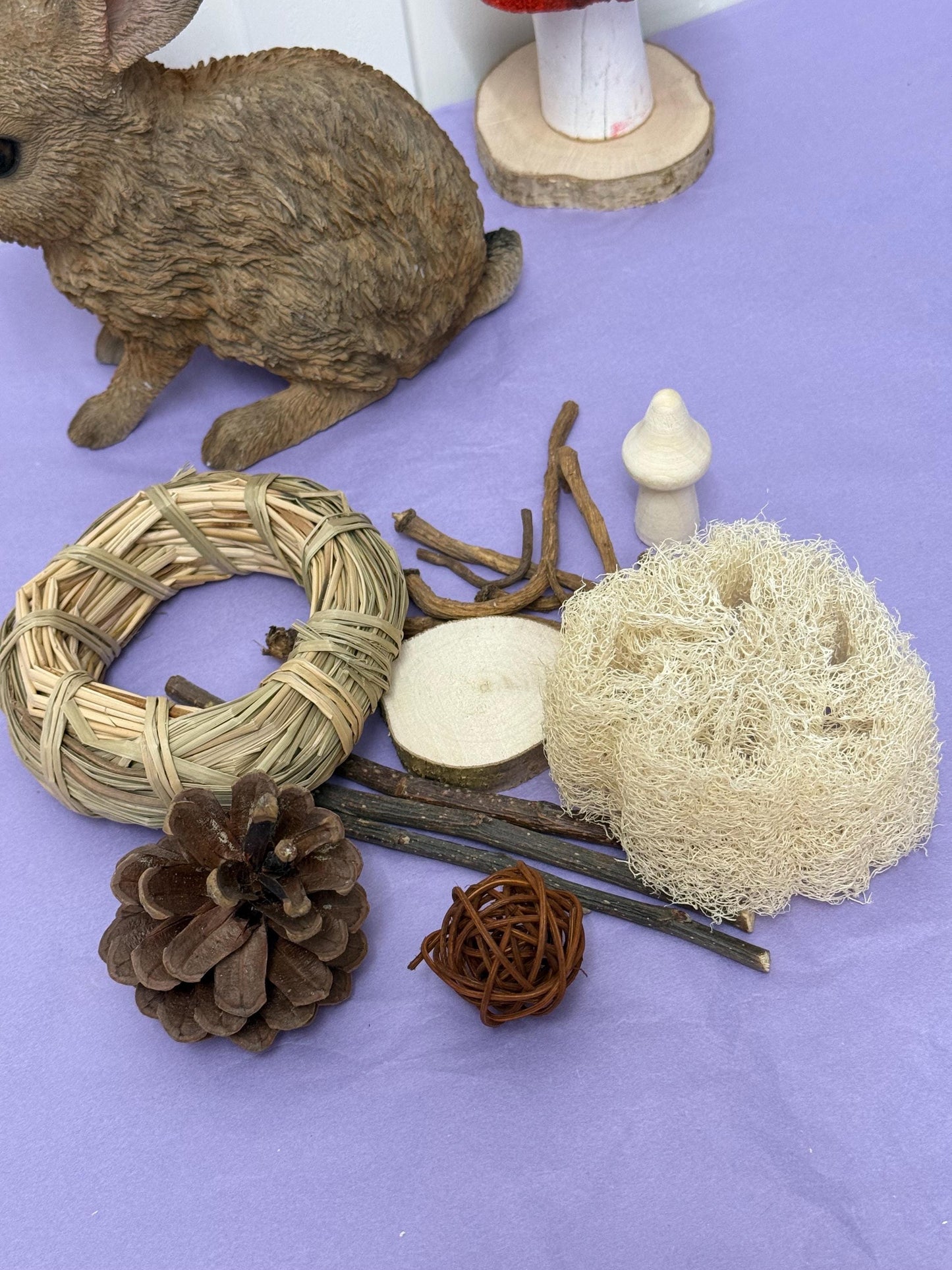 Rabbit & Guineapig Natural Chews Bundle, Chews And Treats