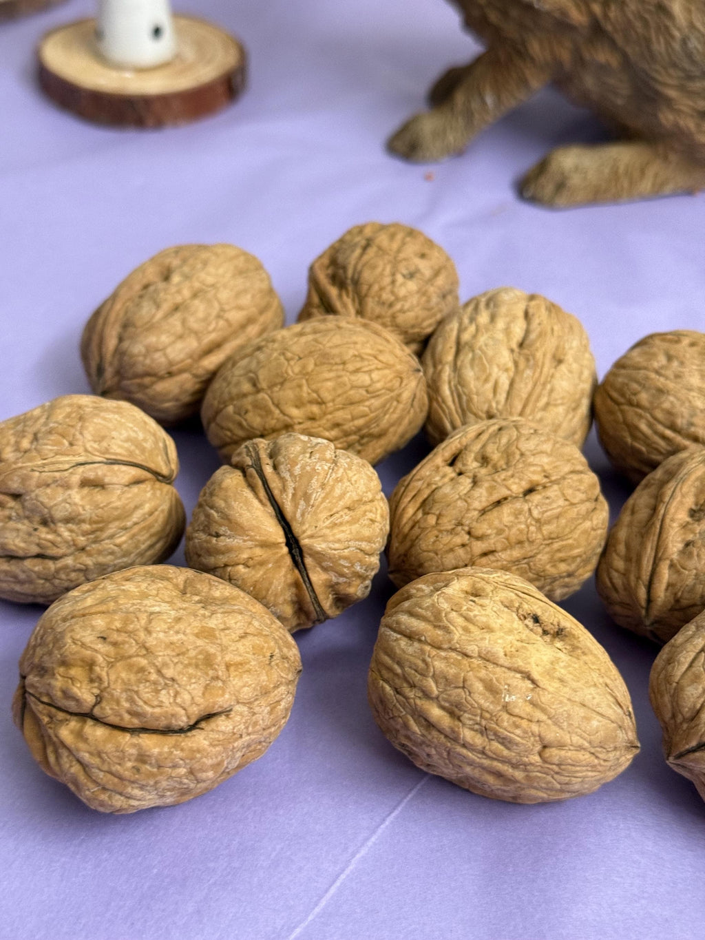 Whole Walnuts in Shell Natural Enrichment For Hamsters & Gerbils