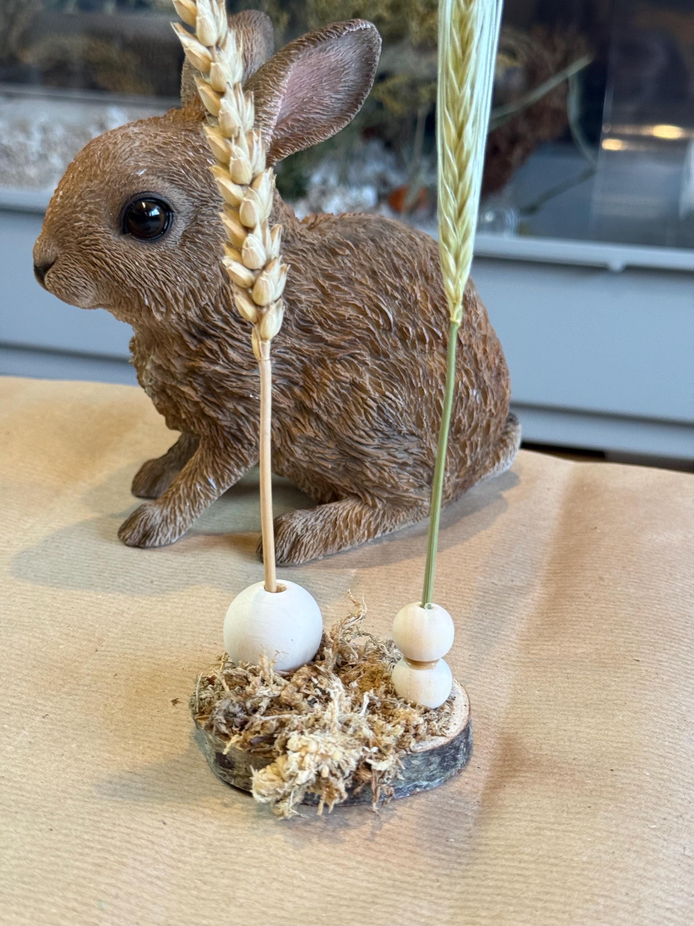 Moss Covered Hamster Spray Holder: Natural Foraging Enrichment