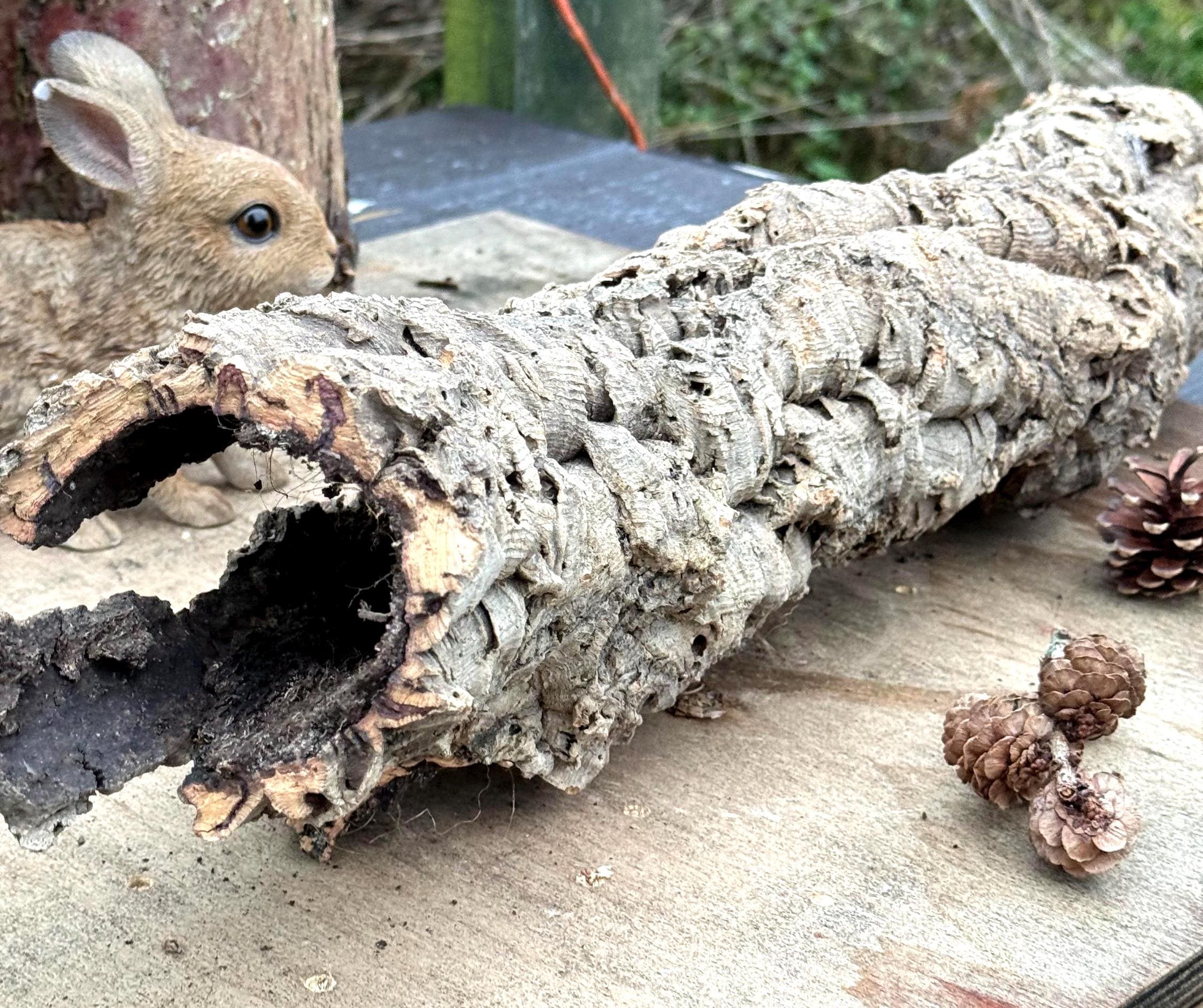 Large Unique Cork Log Tunnels, Hamster Hideout, Reptile Decor, Natural Pet Tube Toy