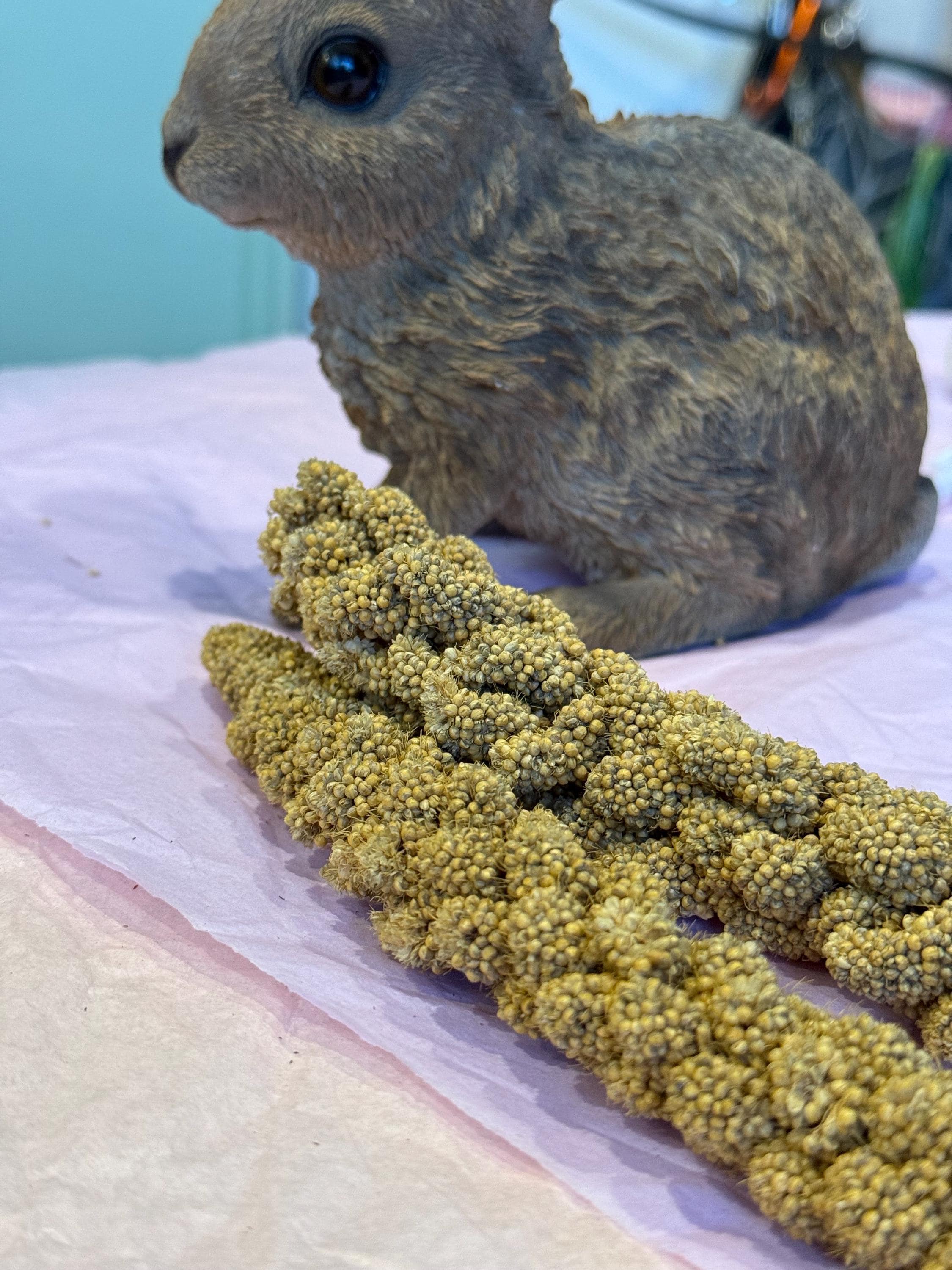 Millet Sprays Forage For Hamsters, Birds, Gerbils