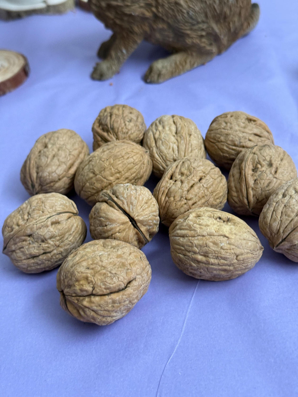 Whole Walnuts in Shell Natural Enrichment For Hamsters & Gerbils