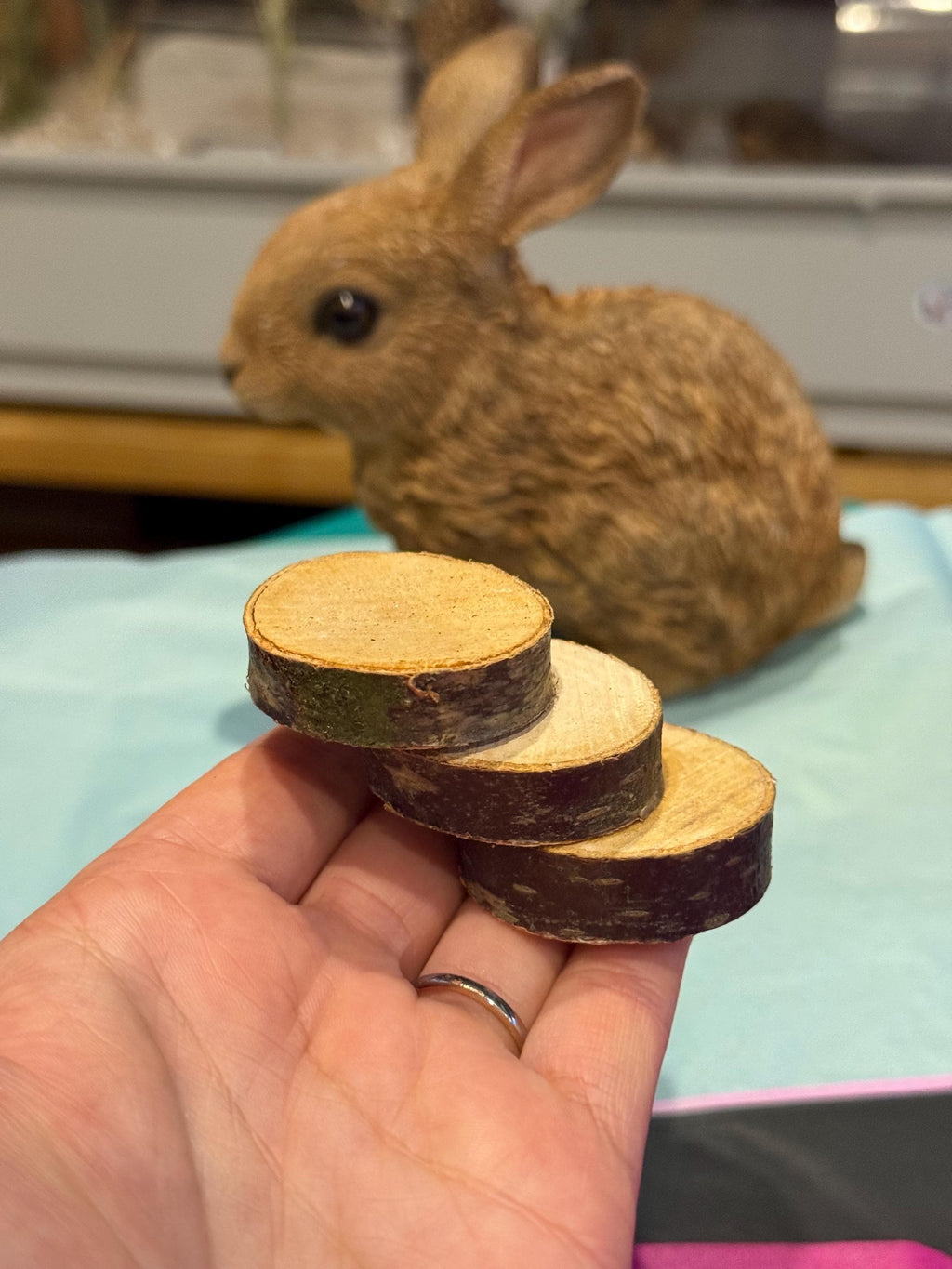 Mini Steps For Hamster & Small Animal Cages