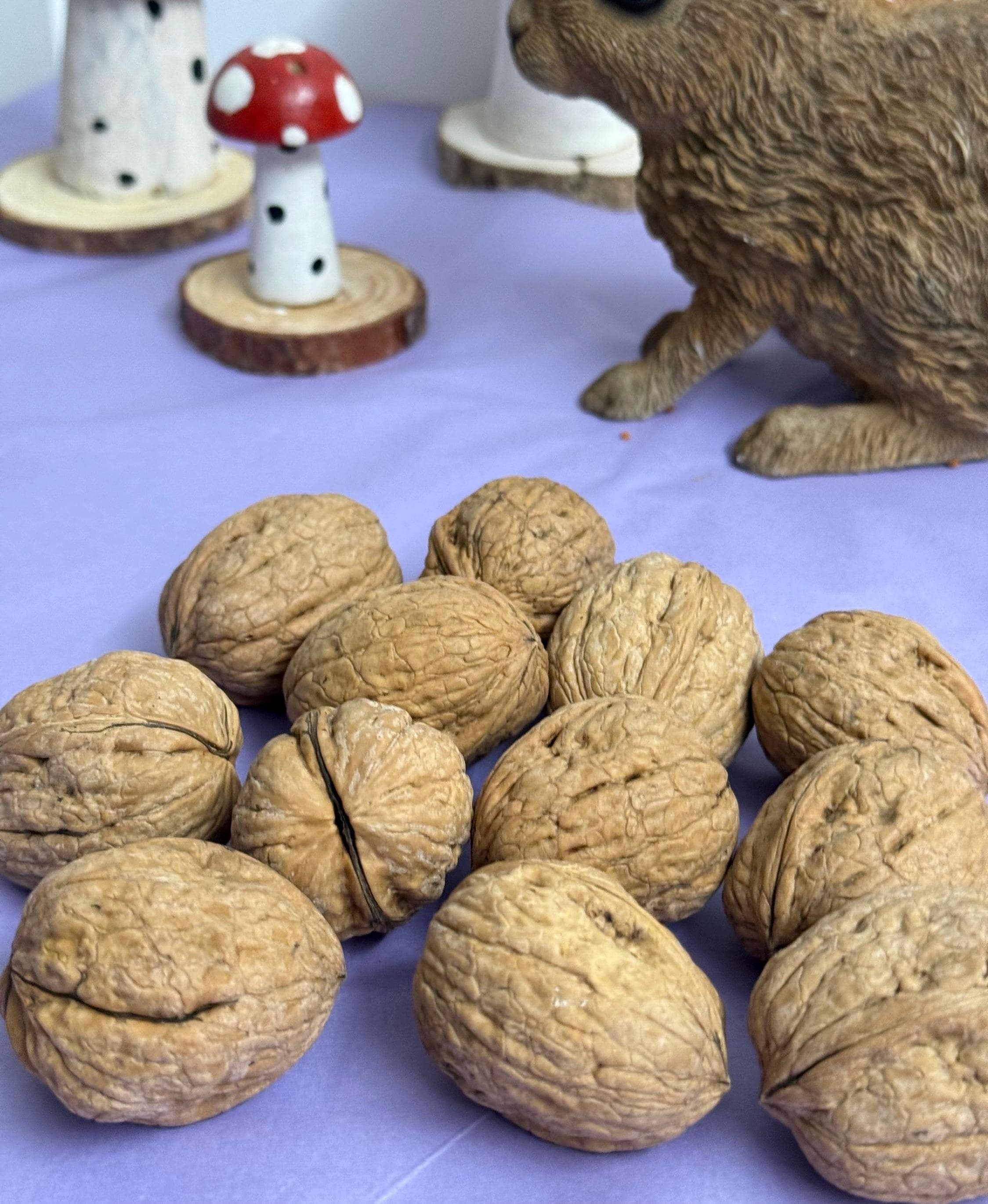 Whole Walnuts in Shell Natural Enrichment For Hamsters & Gerbils