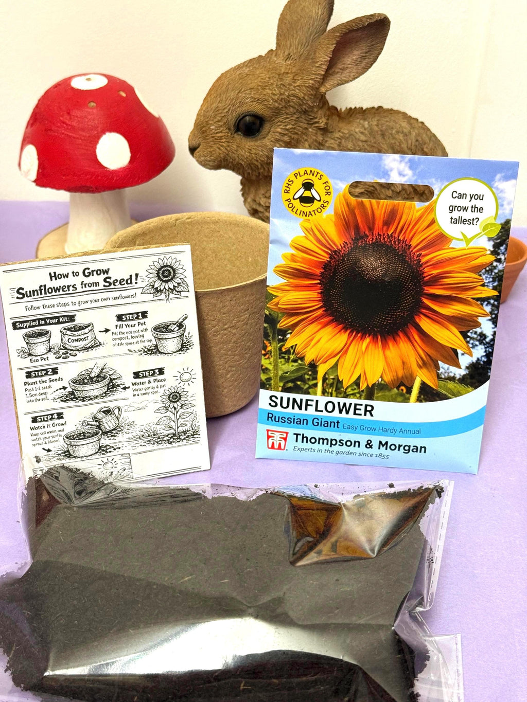 Grow Your Own Sunflower Kit! Eco Friendly Gift