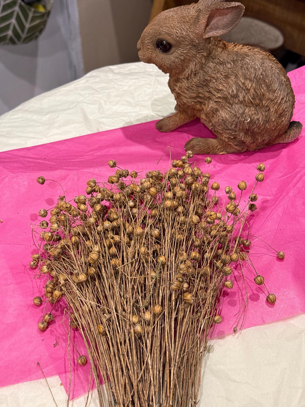 Flax Sprays Forage For Hamsters, Birds, Gerbils