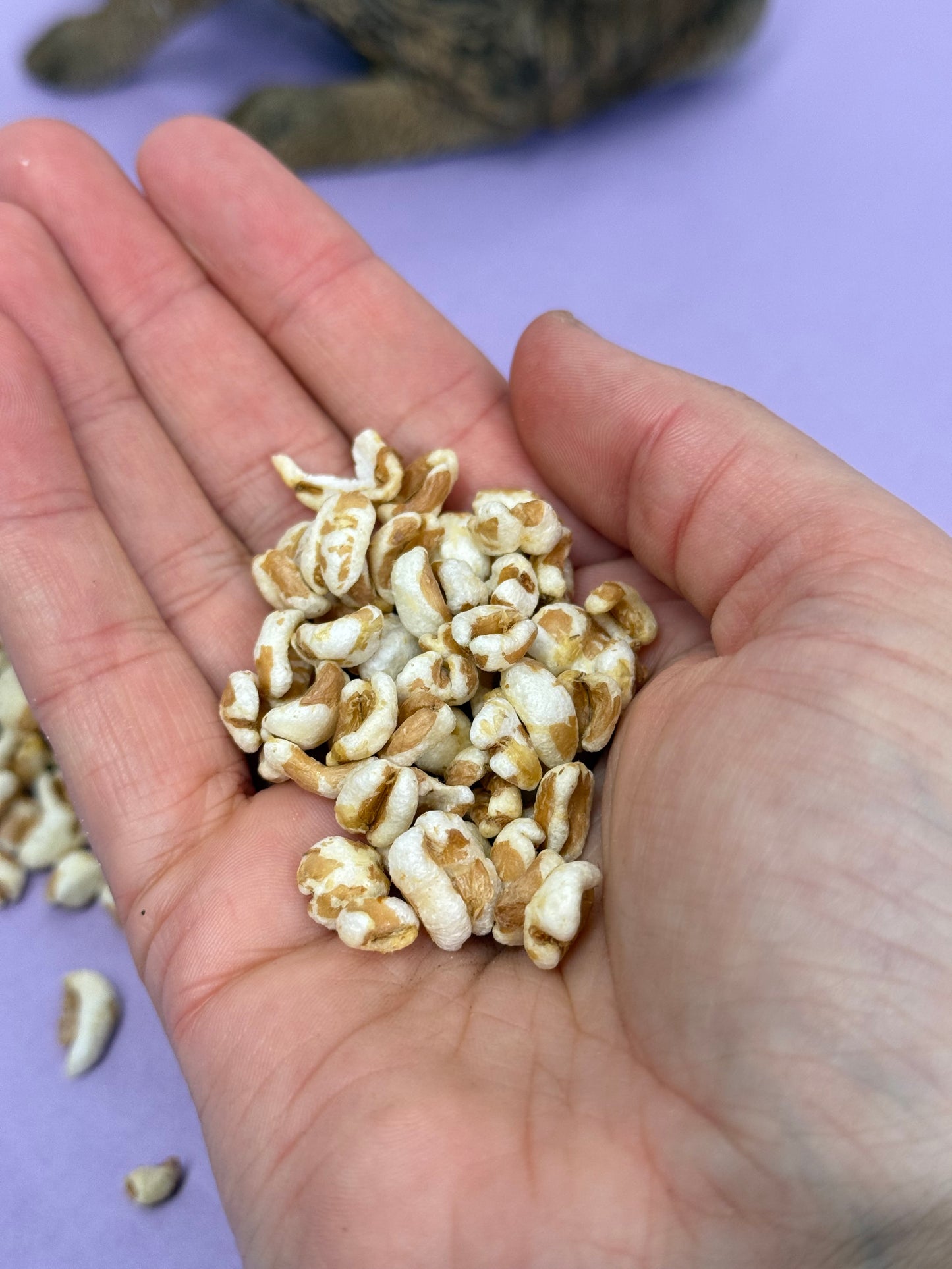 Puffed Spelt Treats For Small Animals
