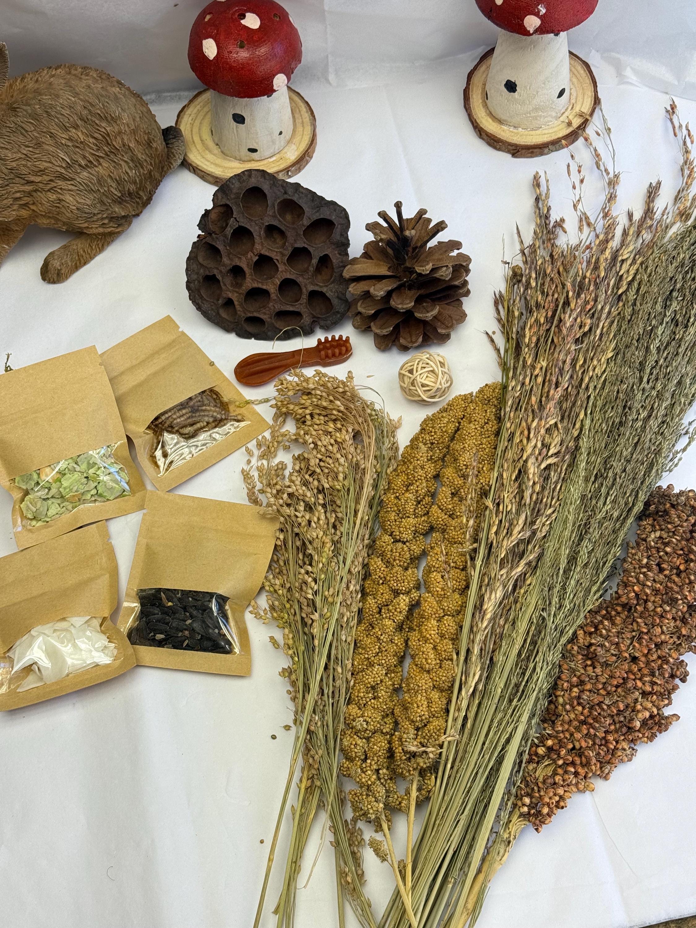 Mega Hamster Enrichment Bundle Sprays, Treats & Toys