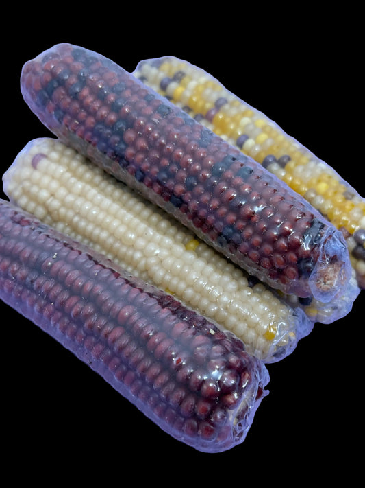 Dried CornCobs Enrichment For Hamsters, Mice, Birds