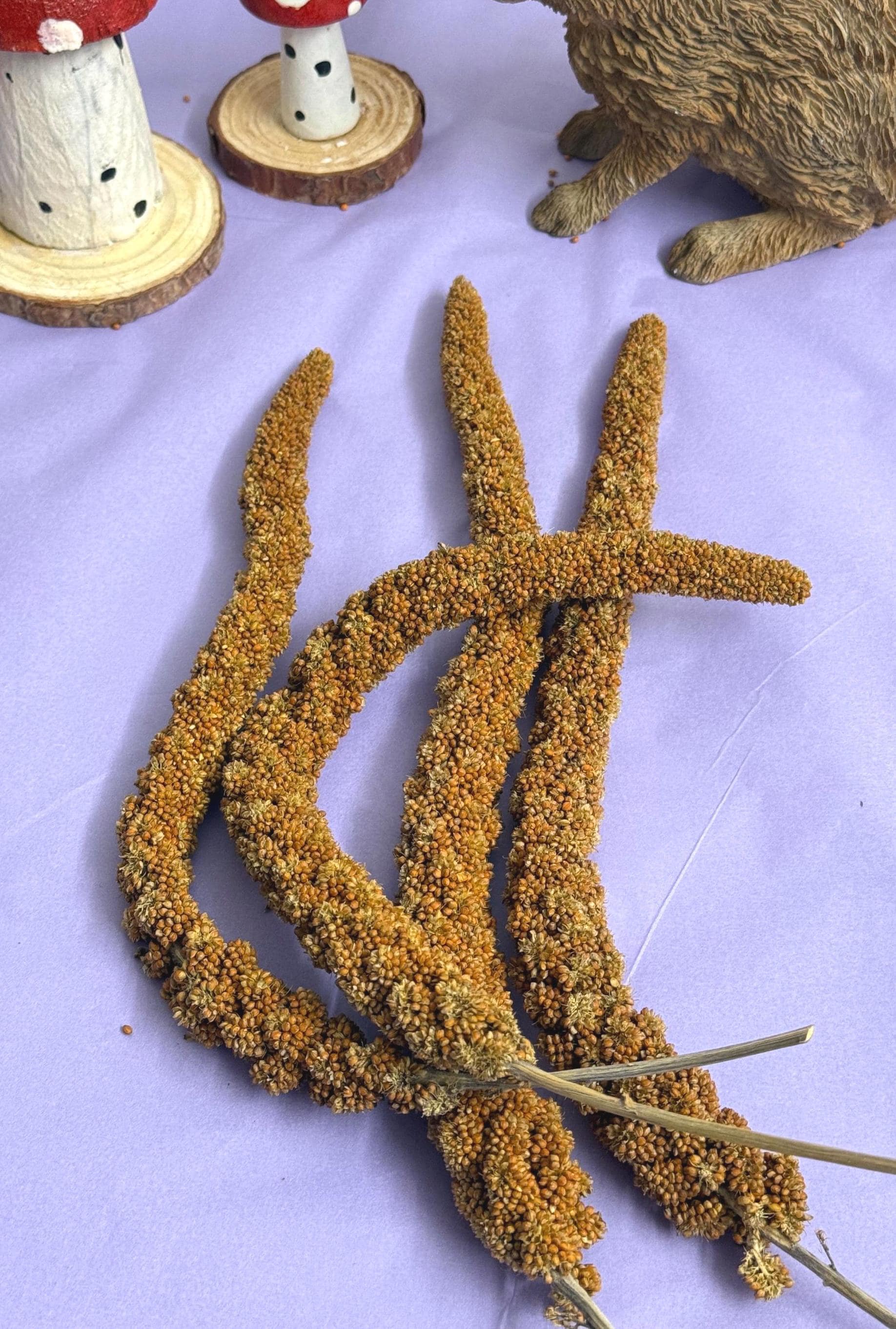 Red French Millet Sprays Forage For Hamsters, Birds, Gerbils