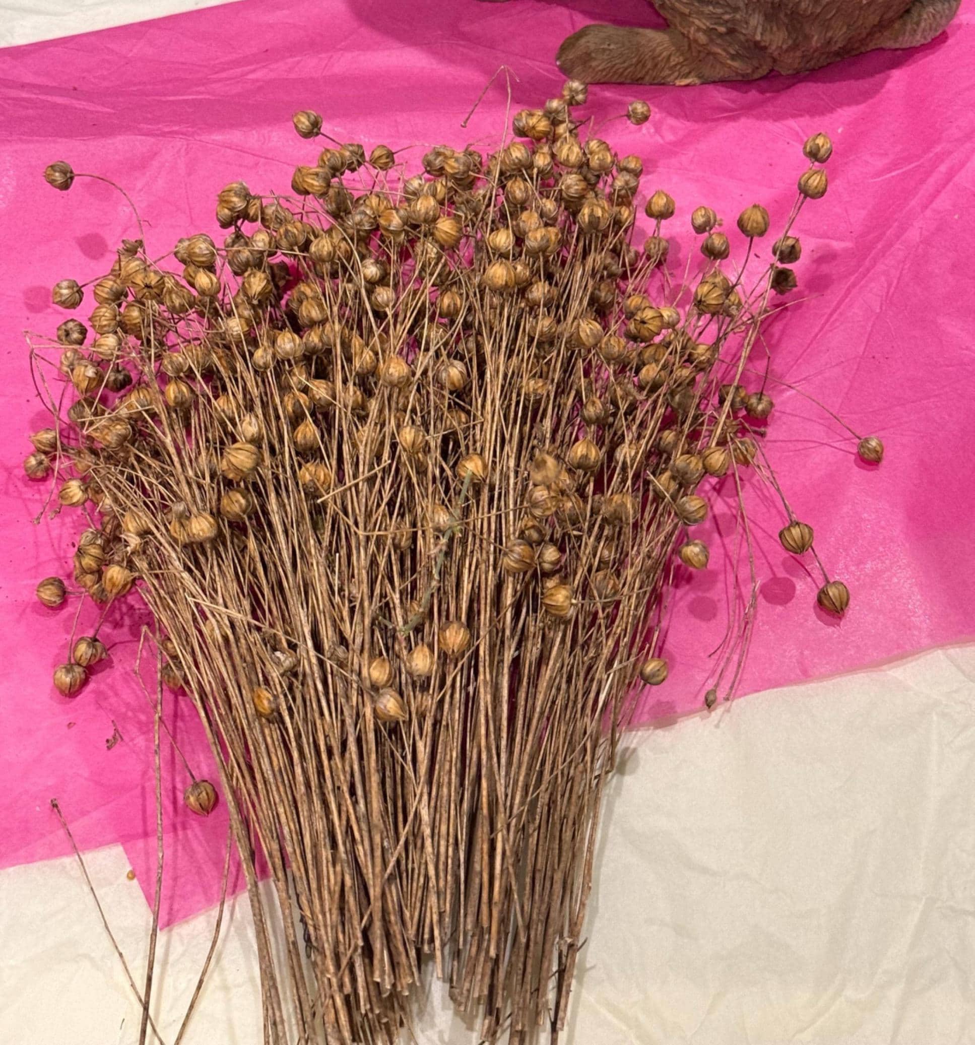 Flax Sprays Forage For Hamsters, Birds, Gerbils