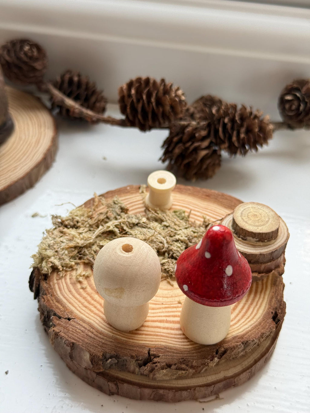 Mossy Log Stack Spray Holder Wooden Mushrom Hamster Enrichemnt Safe Chew Toy