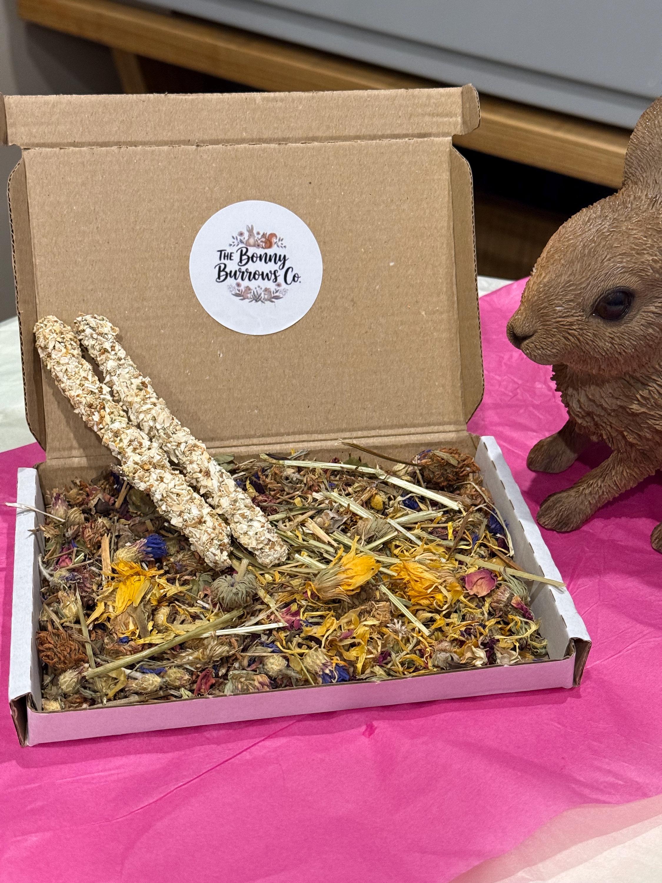Natural Forage Box & Parsnip Chew Sticks For Small Animals, Hamsters, Gerbils etc