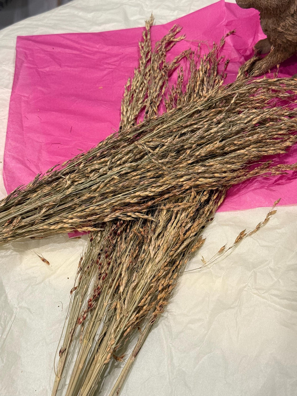 Organic Delicha Grass Sprays For Hamsters