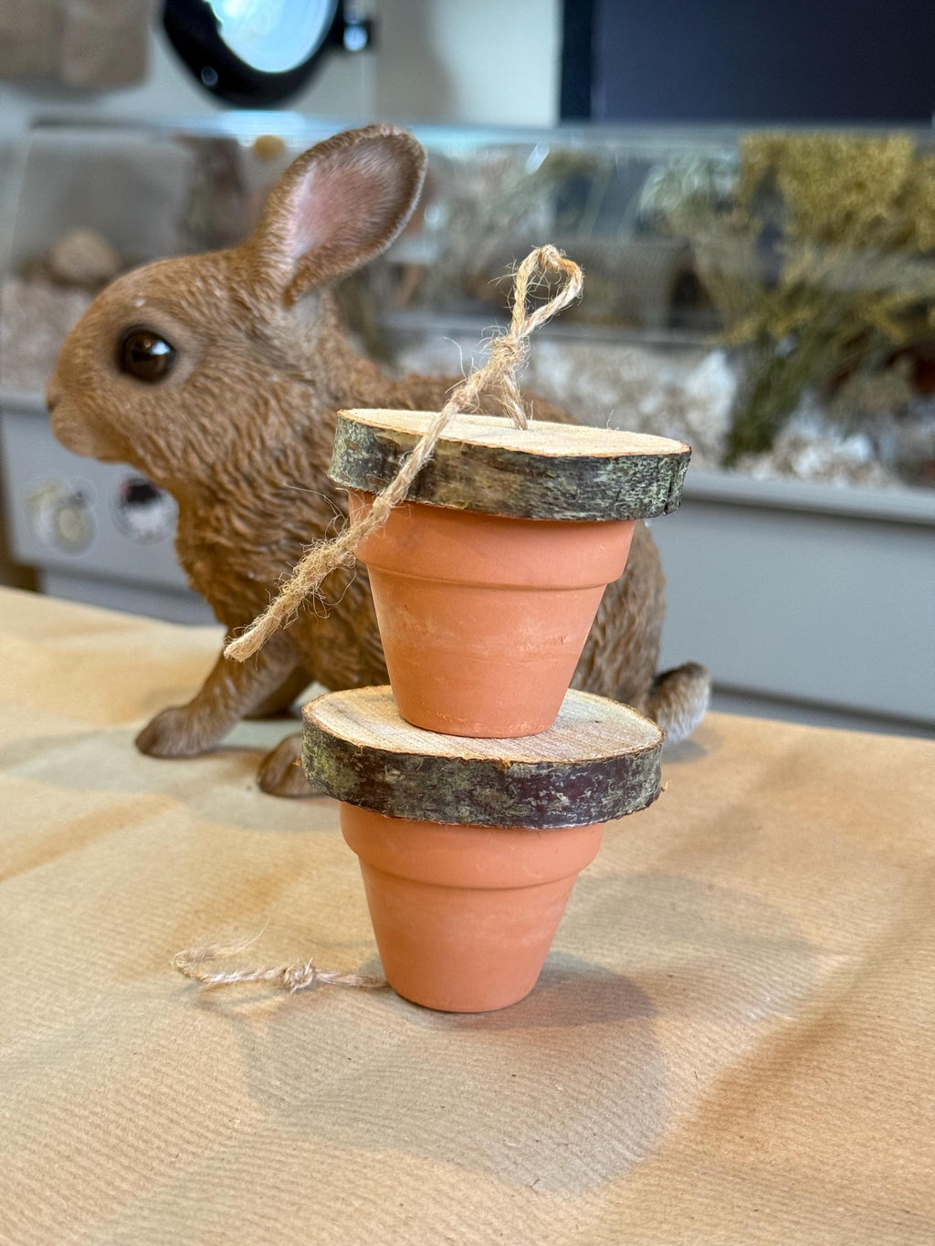 Hanging Foraging Pots & Wood Slices, Veg Hiding Toy For Rabbits, Guineapigs and Small Animals