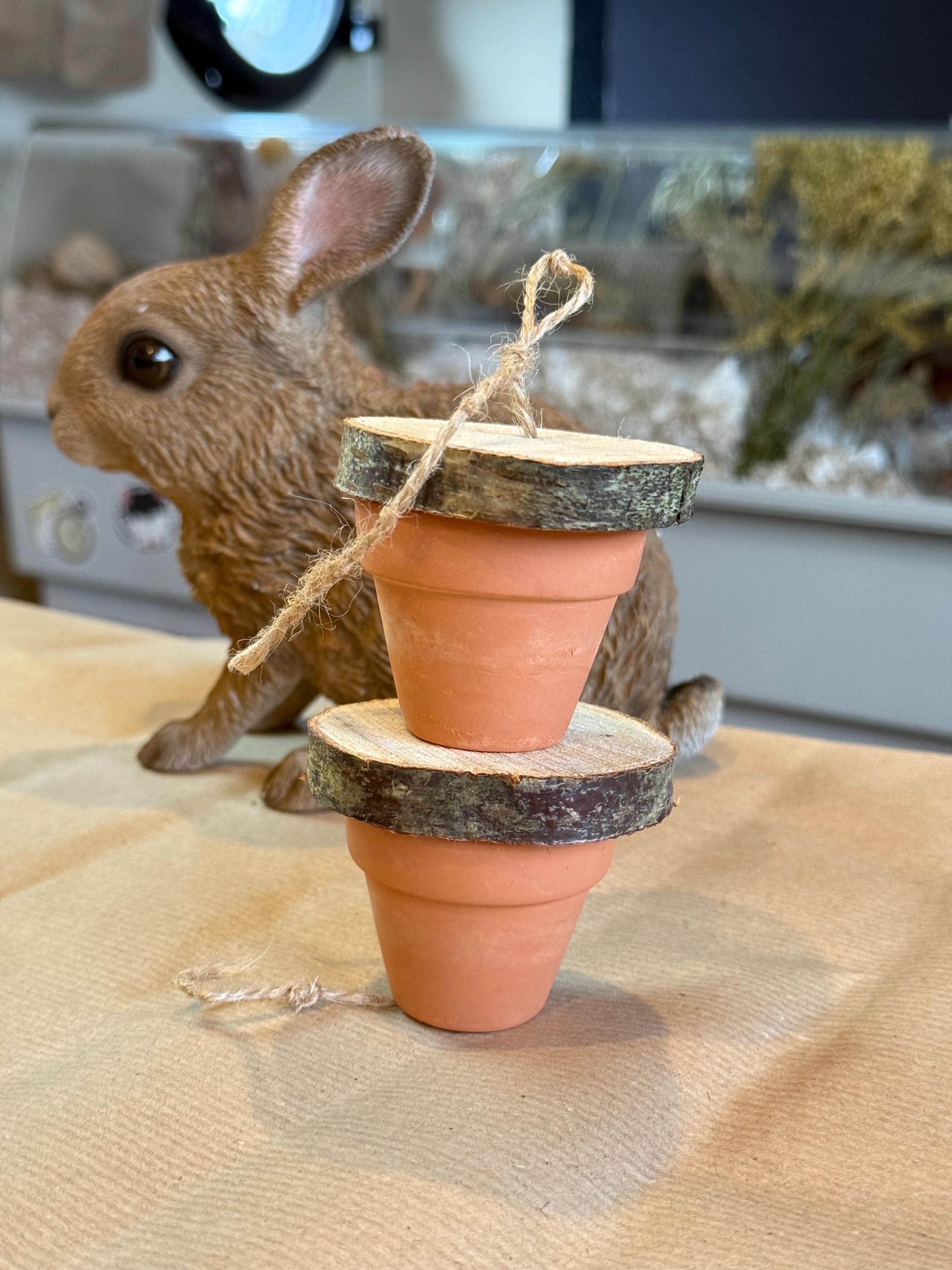 Hanging Foraging Pots & Wood Slices, Veg Hiding Toy For Rabbits, Guineapigs and Small Animals