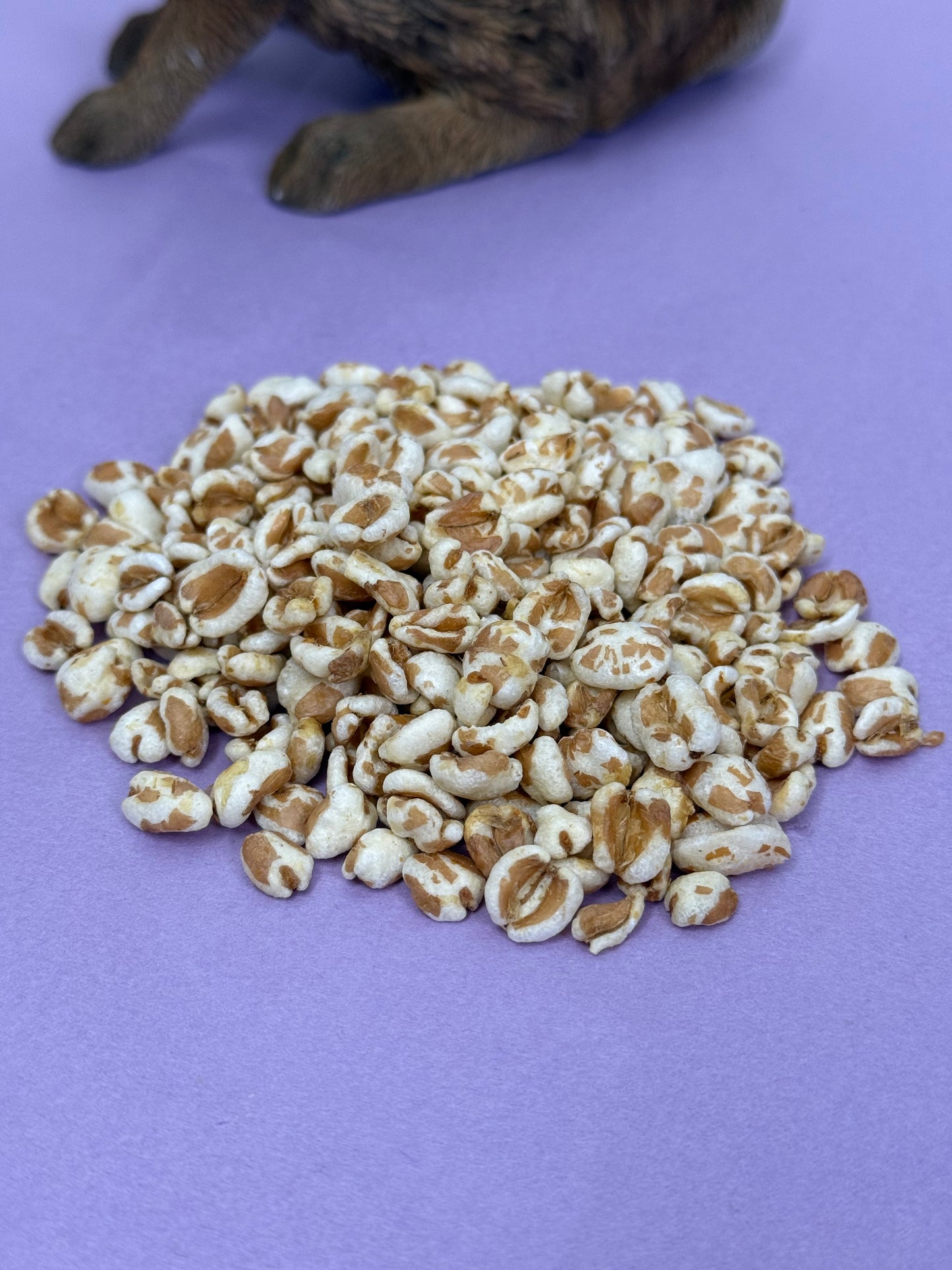 Puffed Spelt Treats For Small Animals
