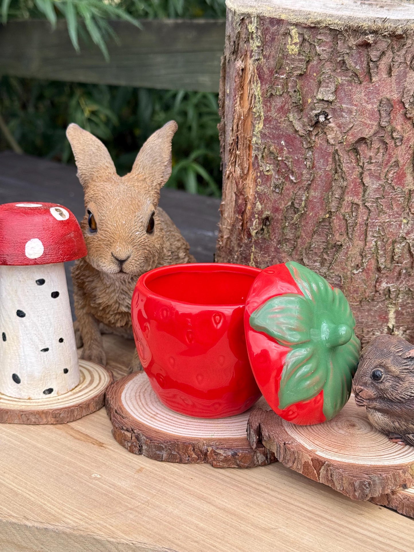 Strawberry Treat Jar Small Pet & Home Decor