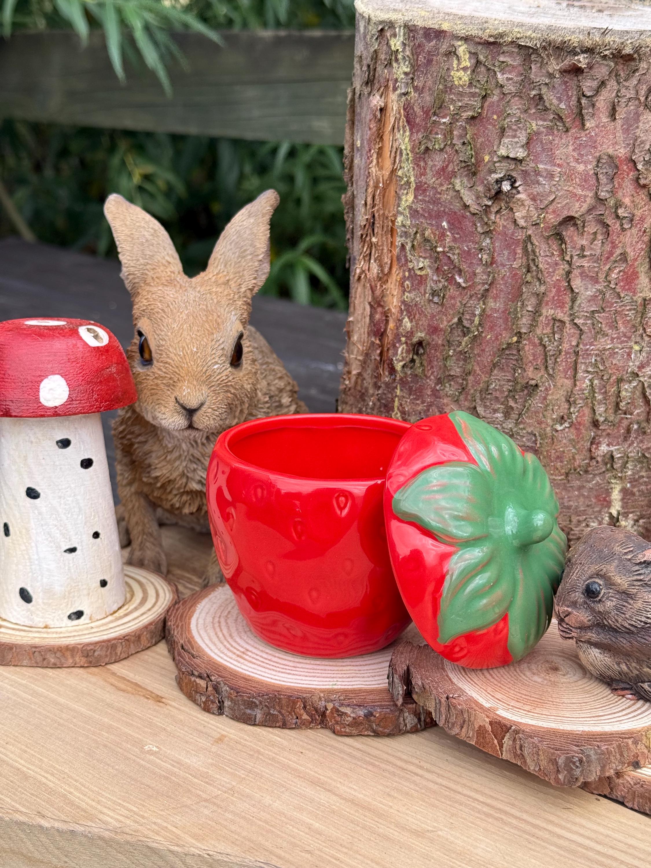 Strawberry Treat Jar Small Pet & Home Decor