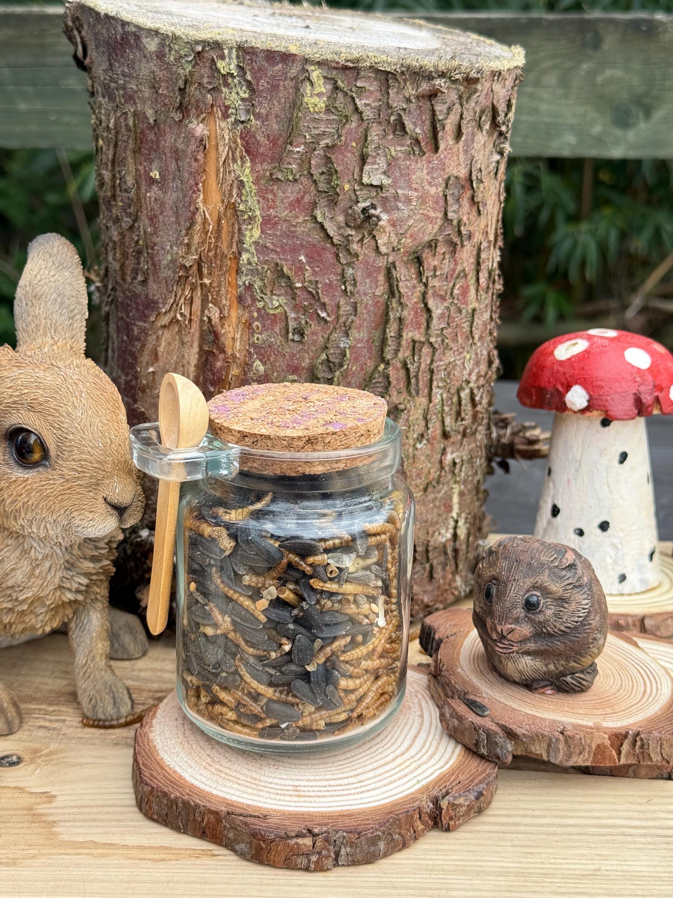 Dried Mealworm & Sunflower Seed Mix for Hamsters, Rats, Birds