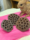 Lotus Pods Enrichment For Hamsters & Gerbils